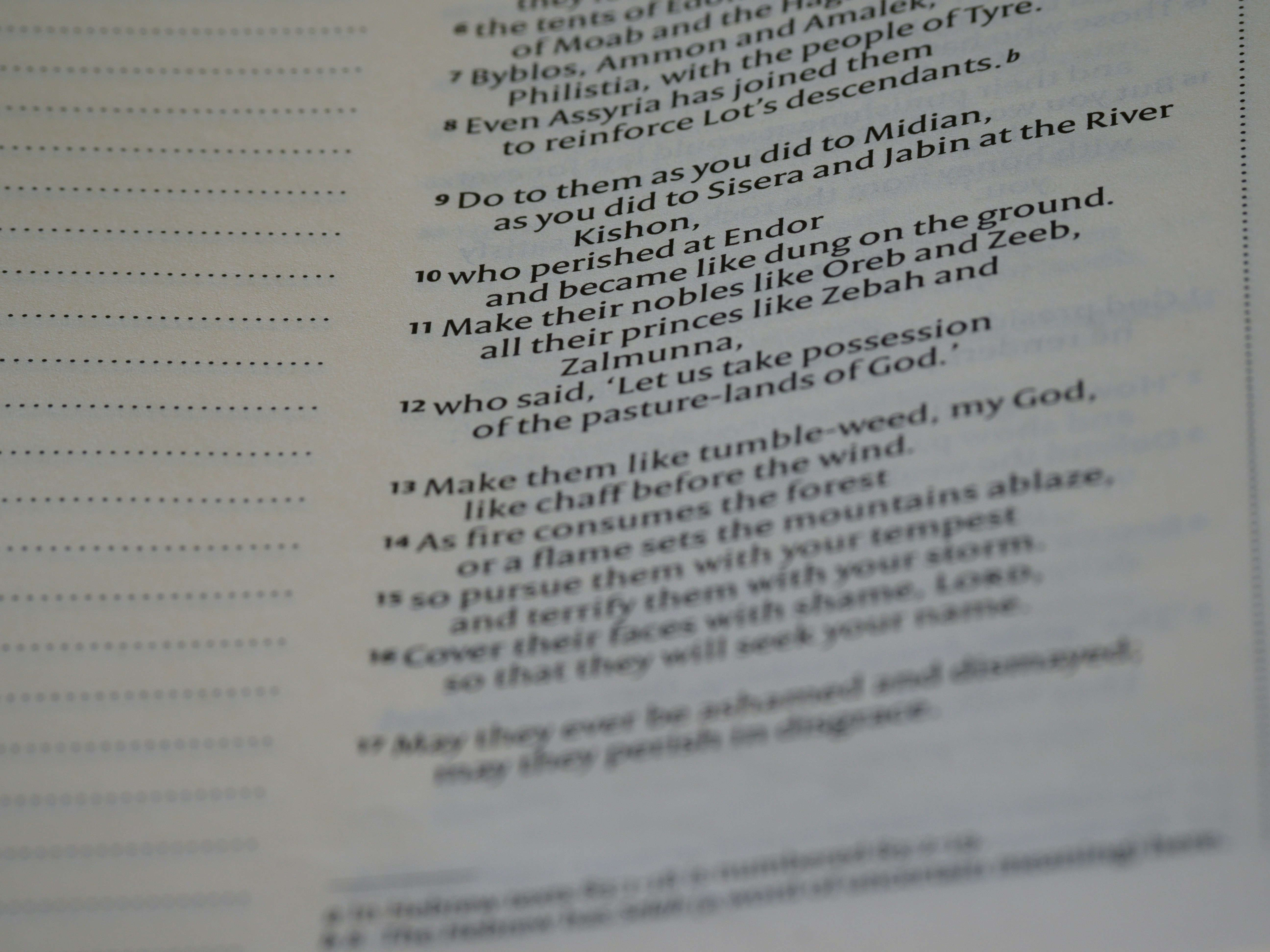 Photo by brett_jordan