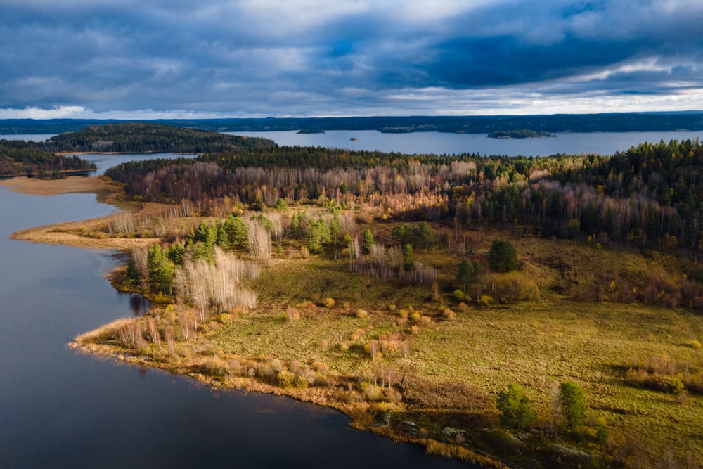 a landscape with a body of water and trees