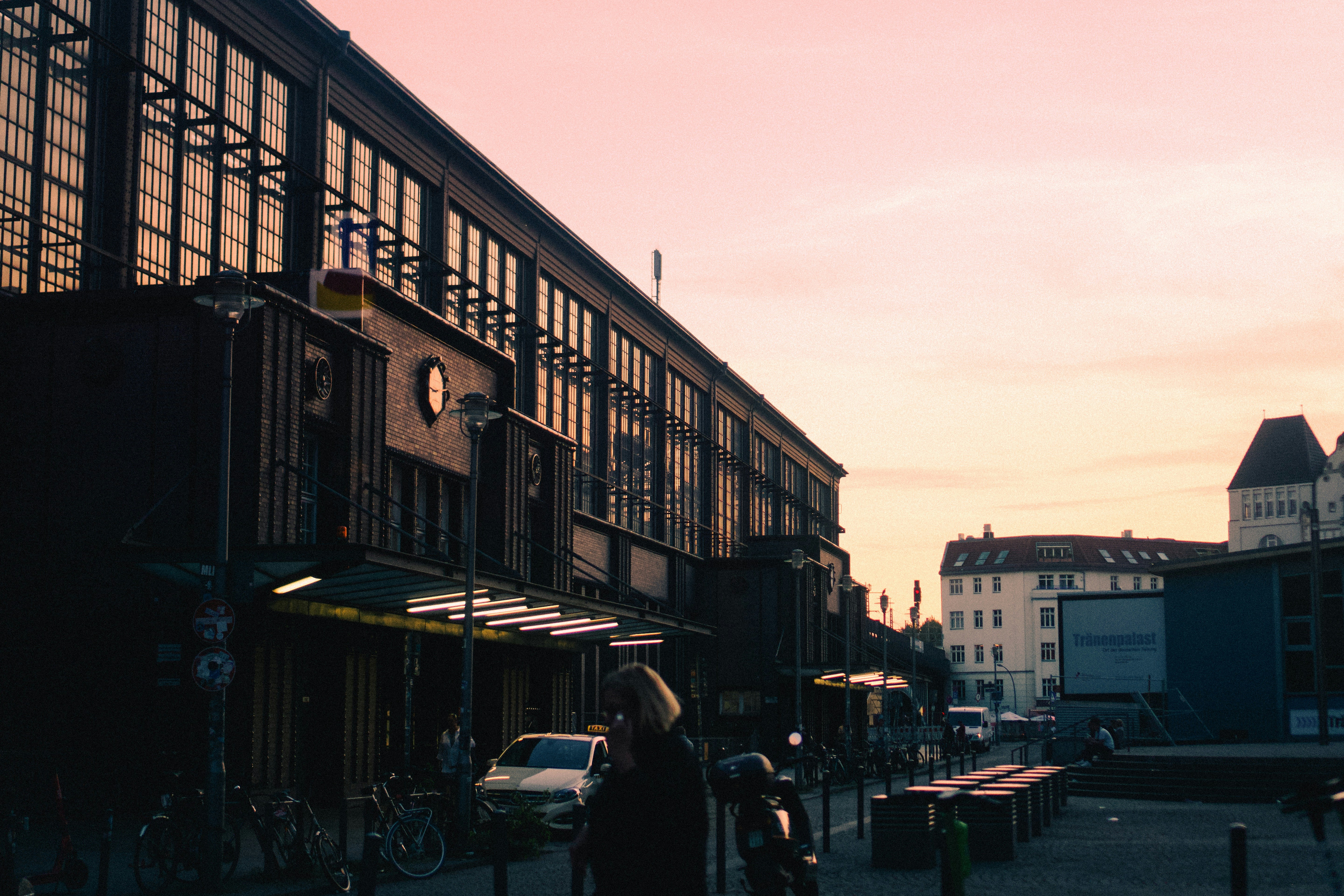 Speed Learning: Rapid Evolutionary Changes (image credits: unsplash)