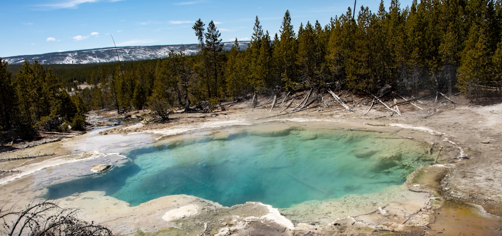 a blue pool of water surrounded by trees and mountains