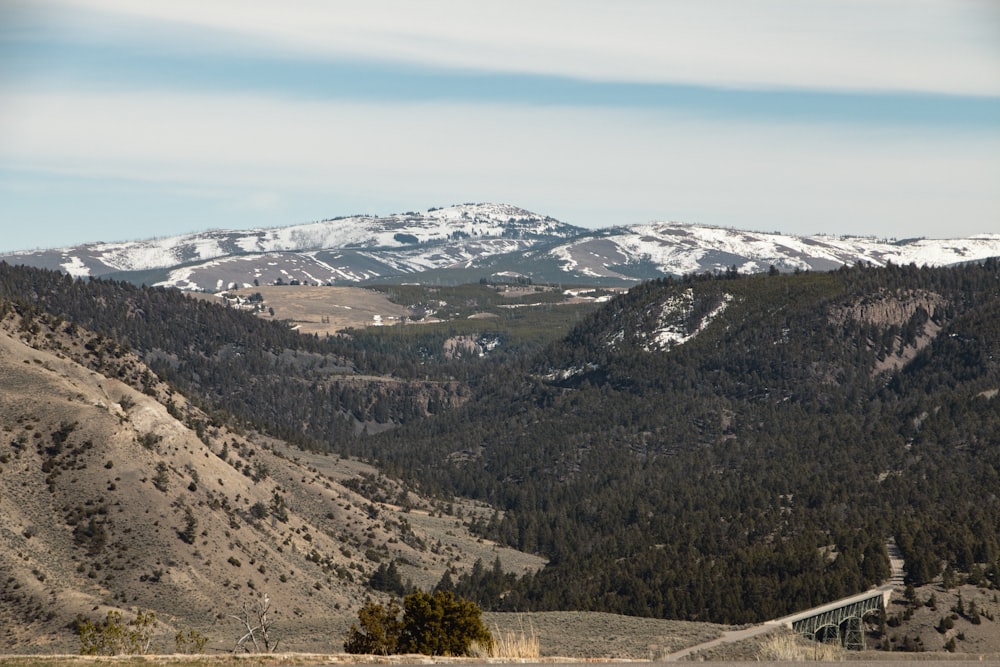 a landscape with mountains and trees