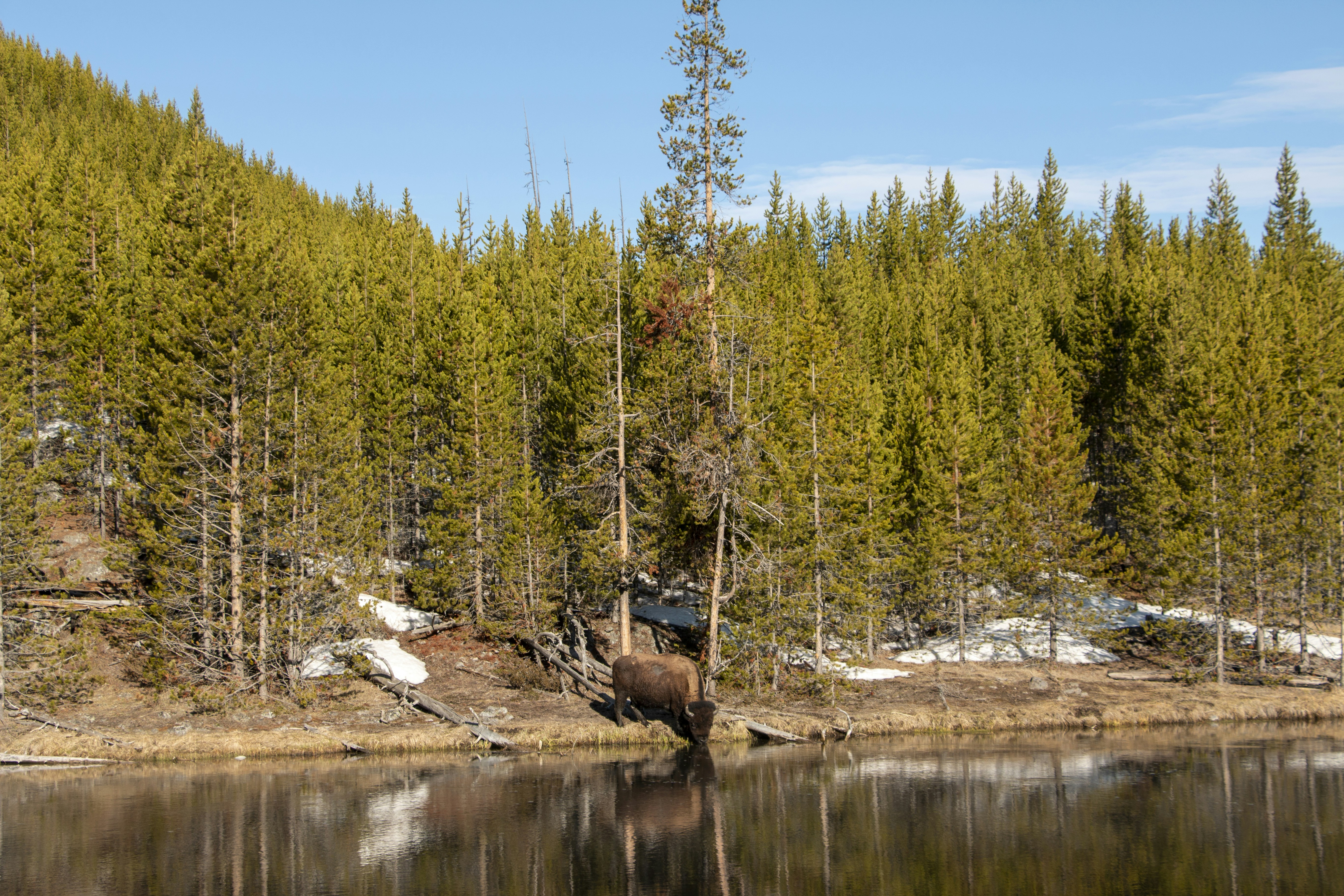 Photo by simeonmuller