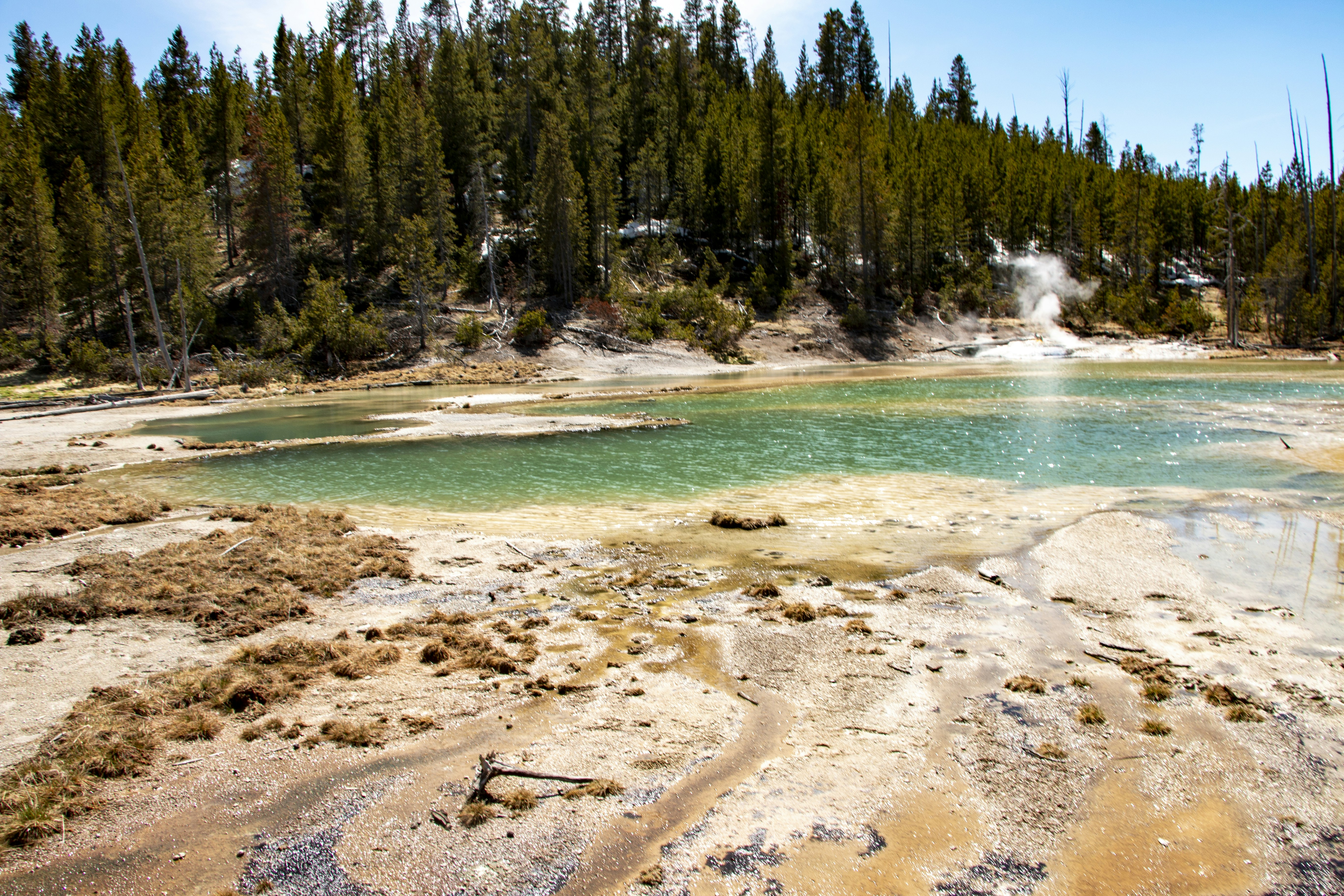 Photo by simeonmuller