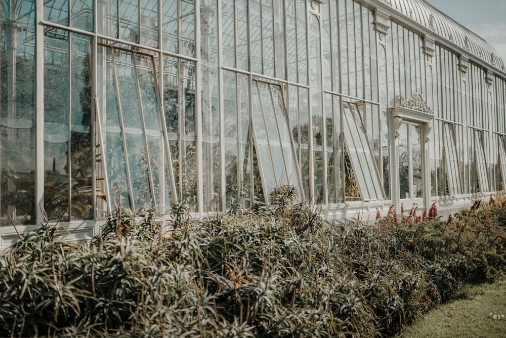 a building with glass windows