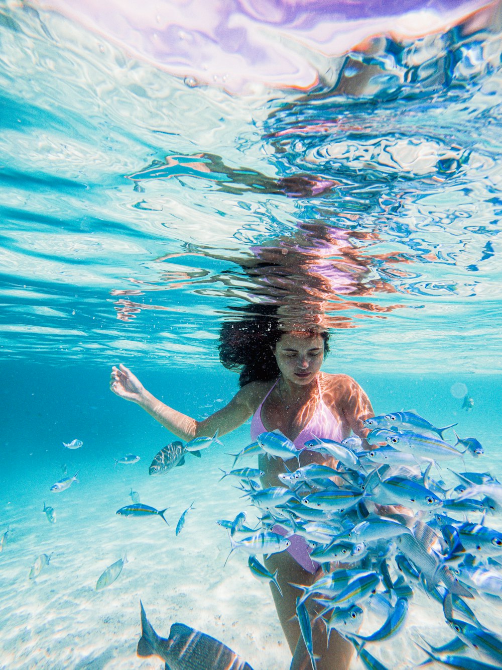 a man in a pool with fish