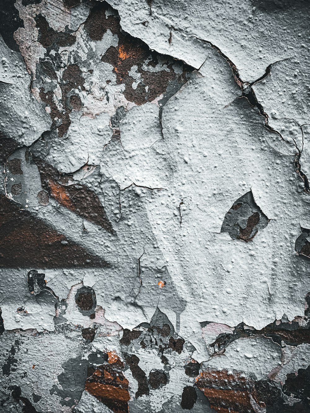 a close-up of a snow covered ground