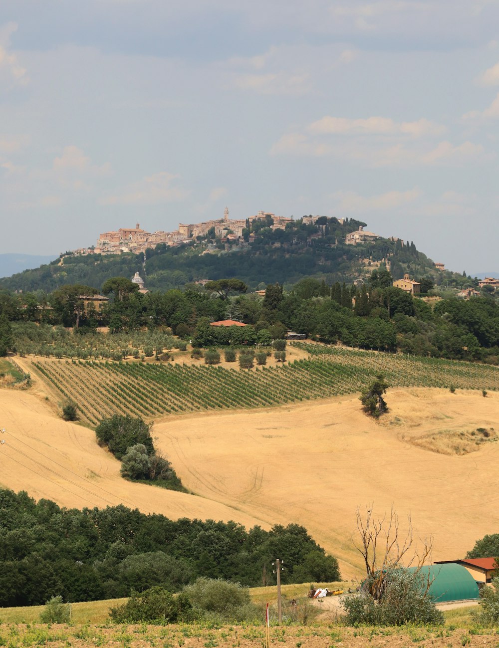 a landscape with a hill and trees