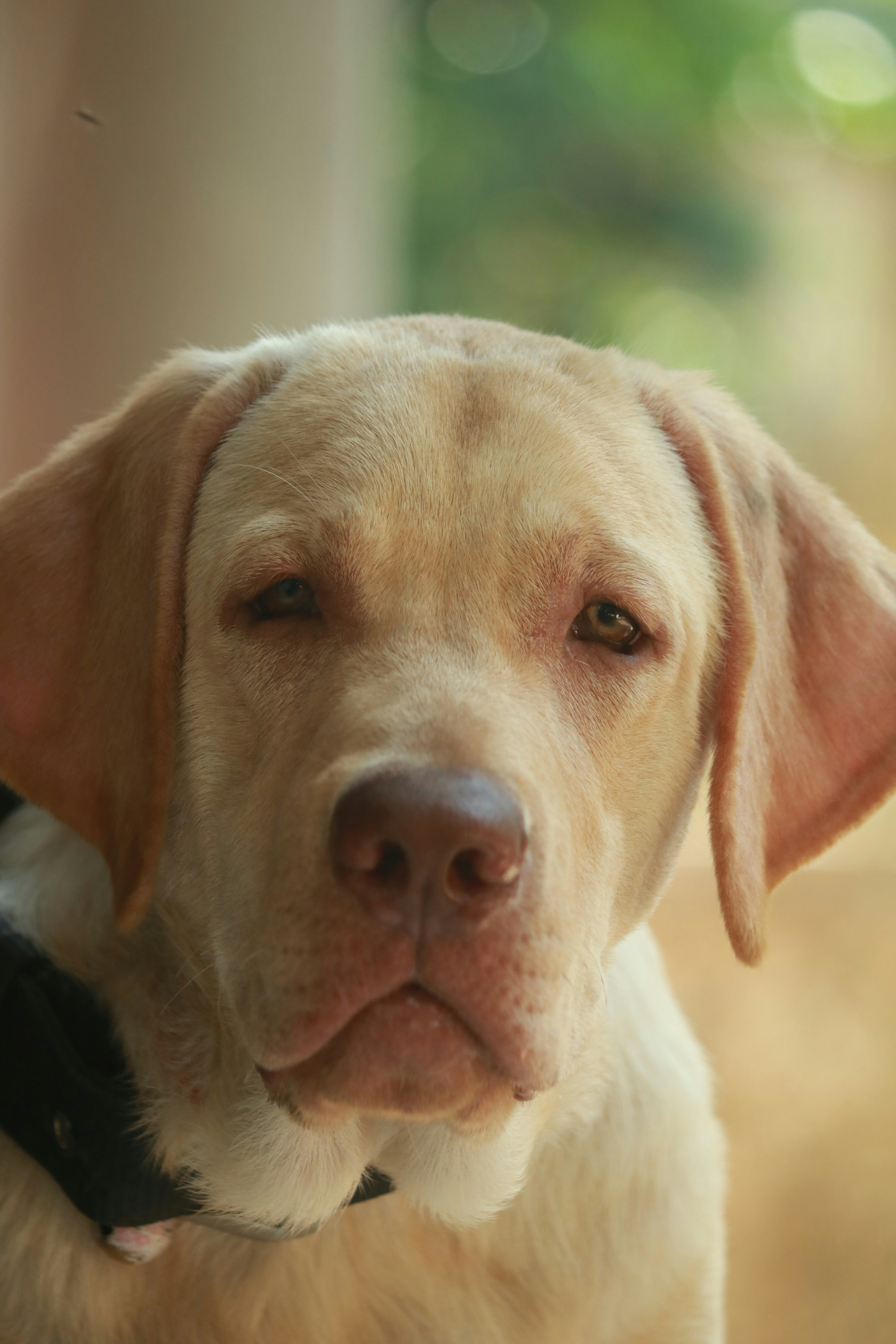 Photo by ganapathi___