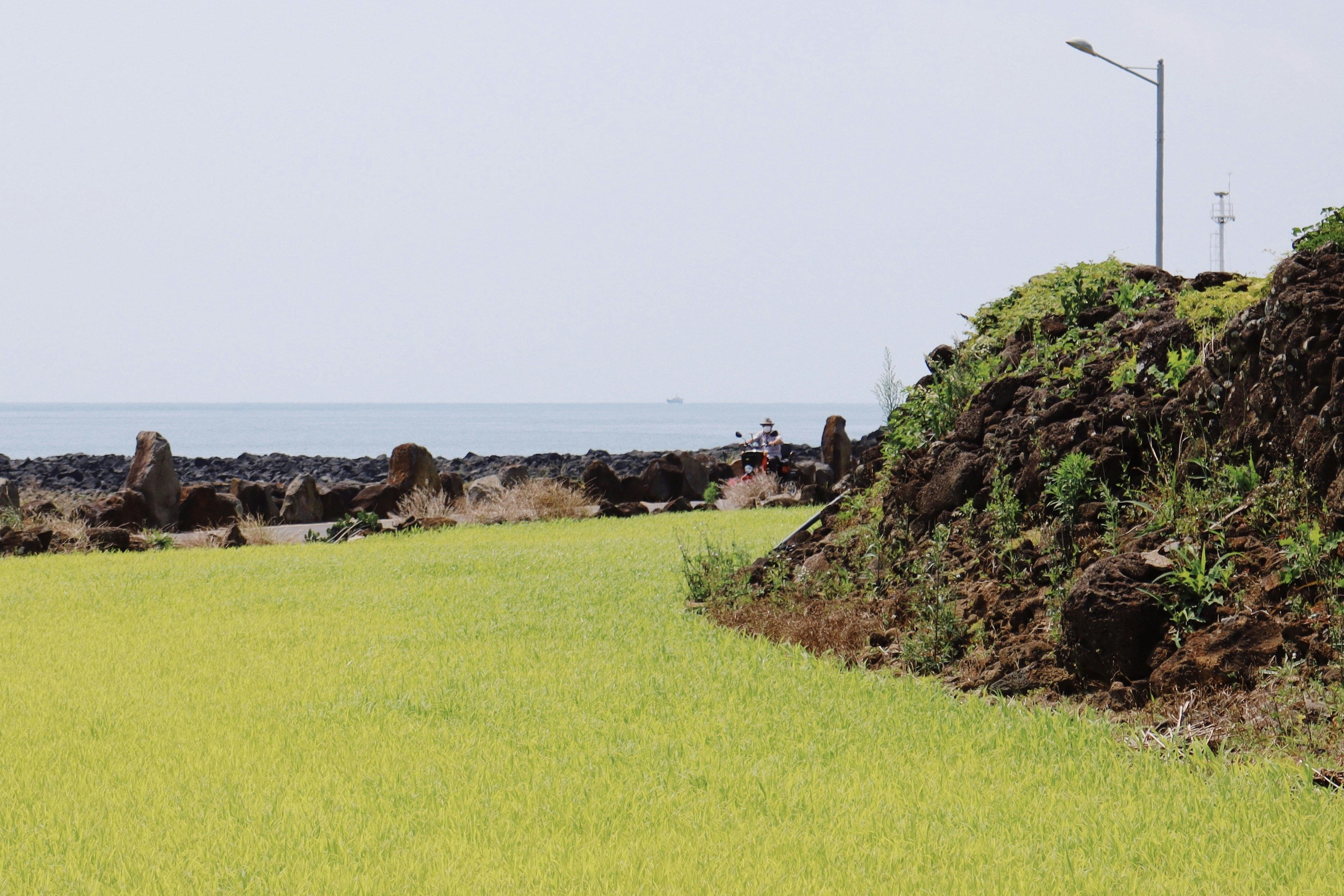 a grassy area with rocks and a body of water in the background