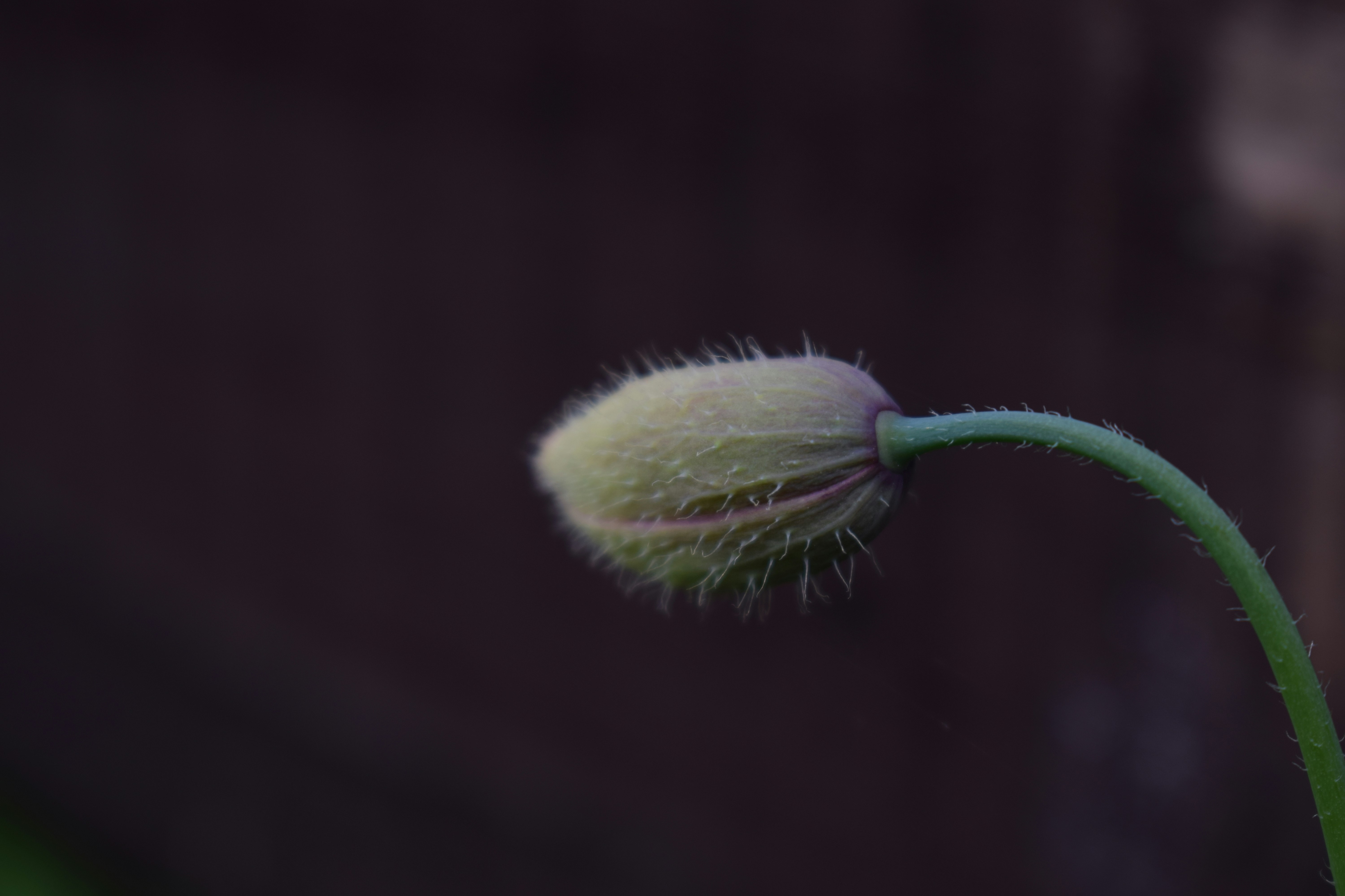 Understanding FABRIK: A Simple Guide