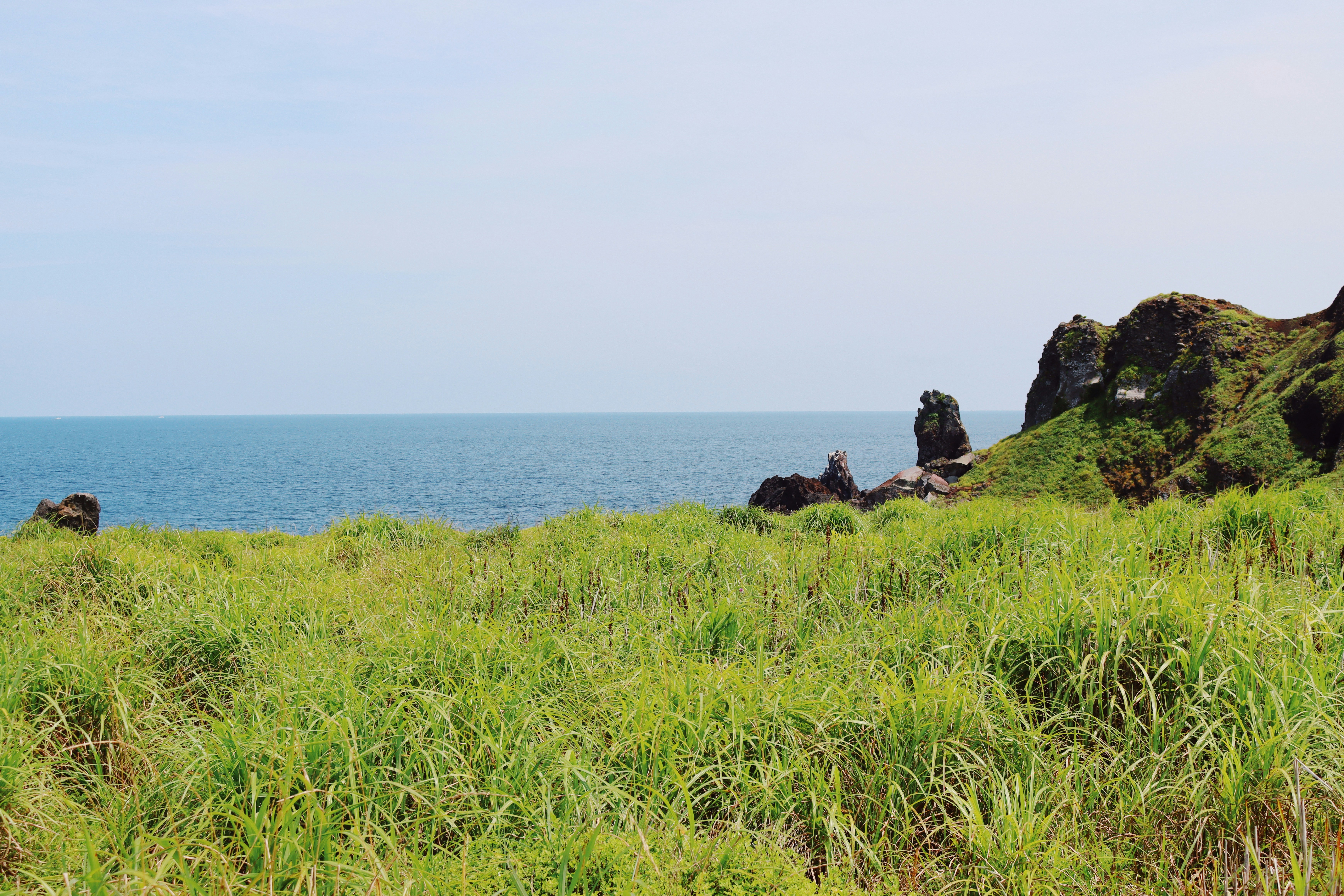 a grassy area with a body of water in the background