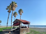 A small beach kiosk with a red roof and wooden structure is situated on a sandy beach. Several tall palm trees surround the kiosk, and the ocean is visible in the background under a clear blue sky. A few items and a chair are placed around the kiosk area.
