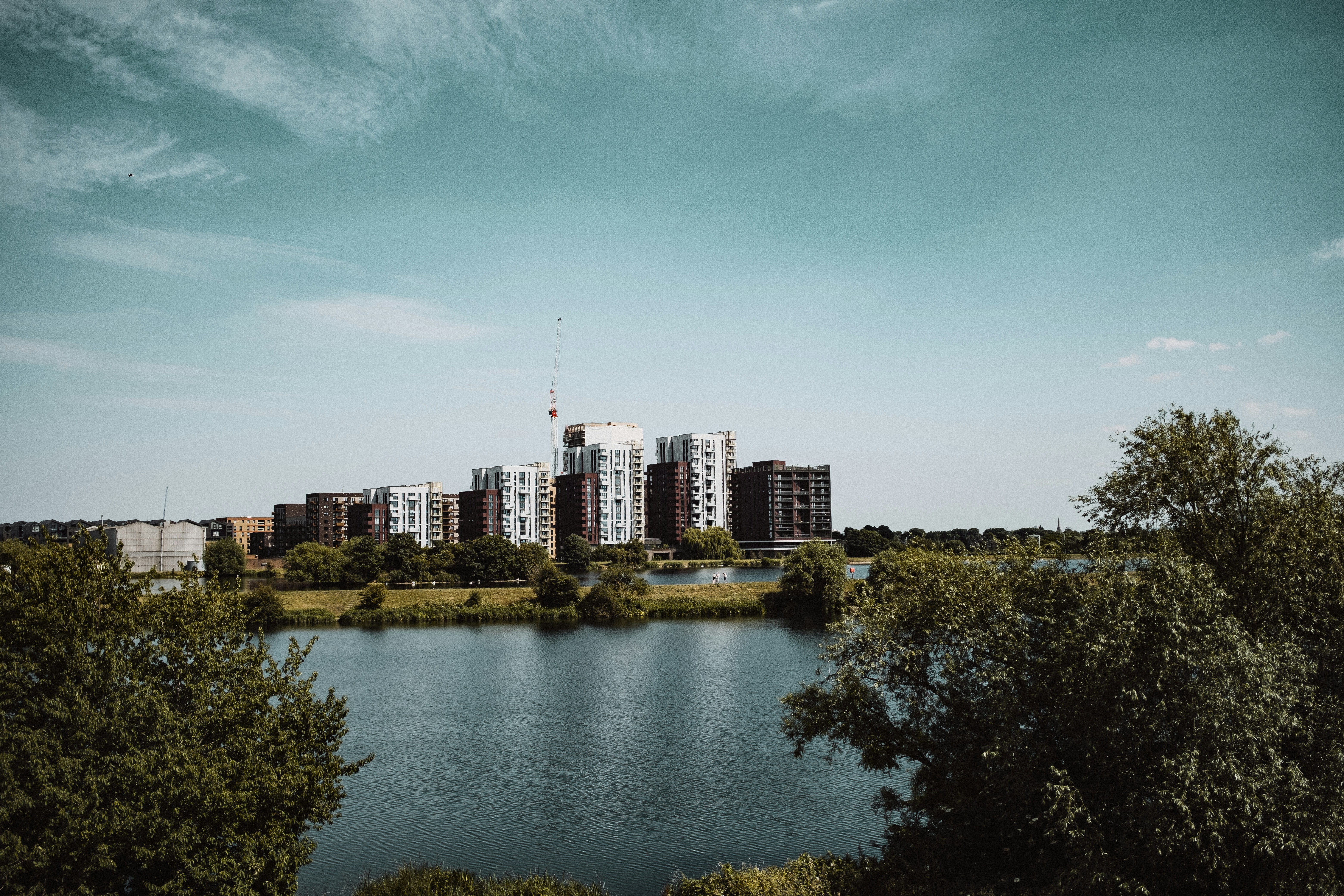 Photo by reganography