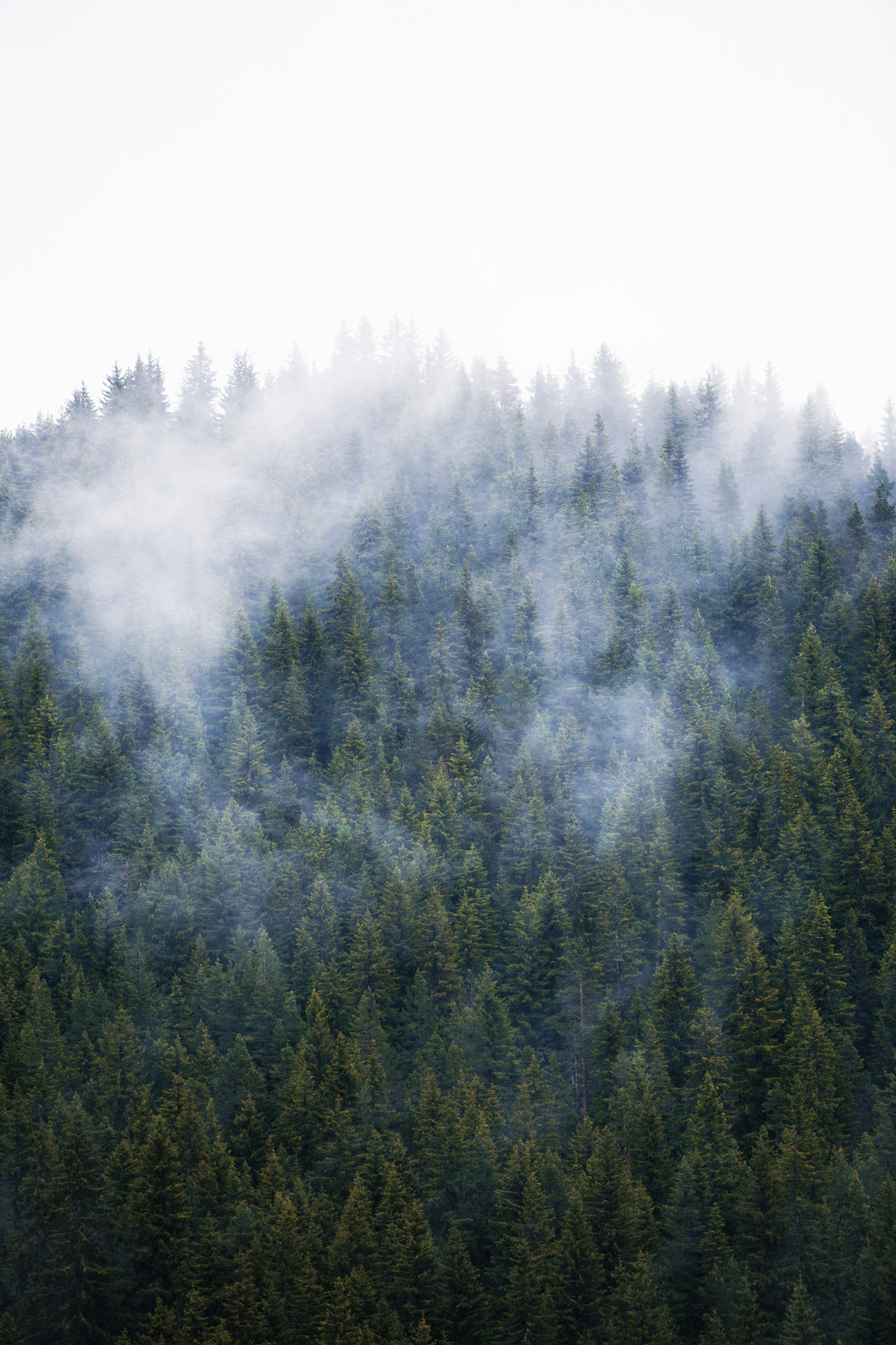 Photo by longlitsense