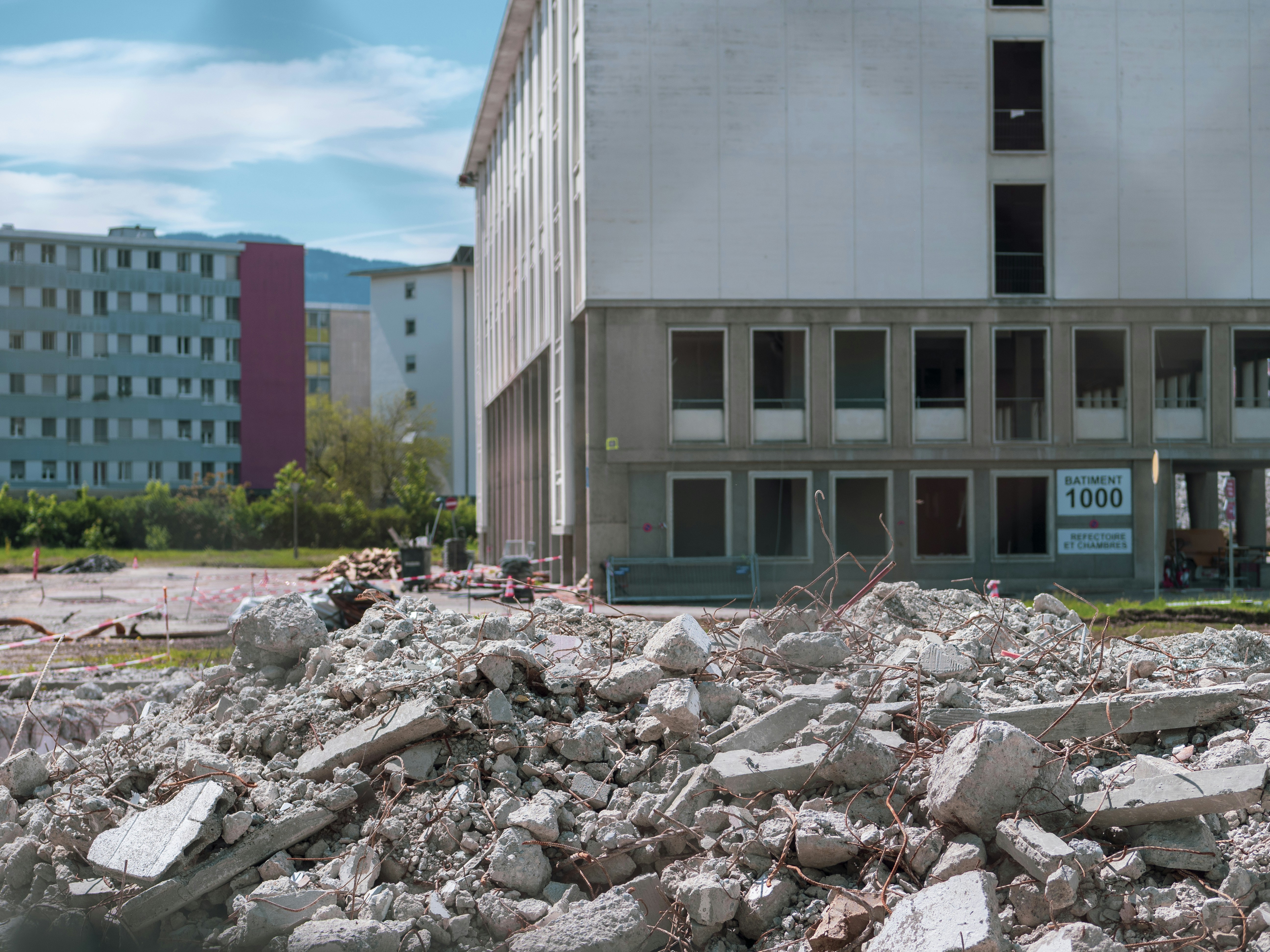 建物の隣の岩の上に座っている鳥の群れ