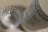 A close-up of a glass with intricate patterns alongside a partial view of a bottle with a label displaying text details. The focus is on the bottle, highlighting its branding.