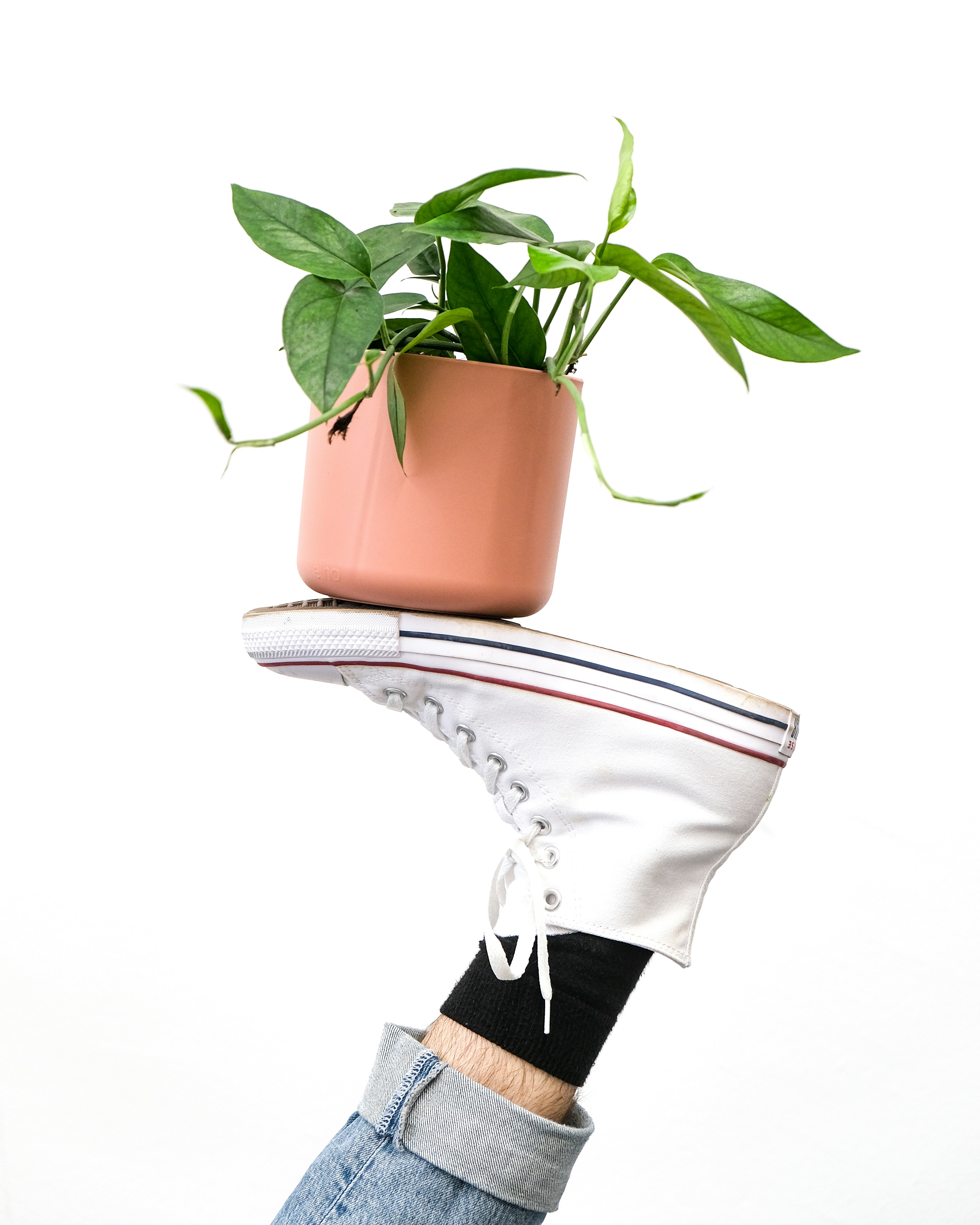 a person's feet with a potted plant on their feet
