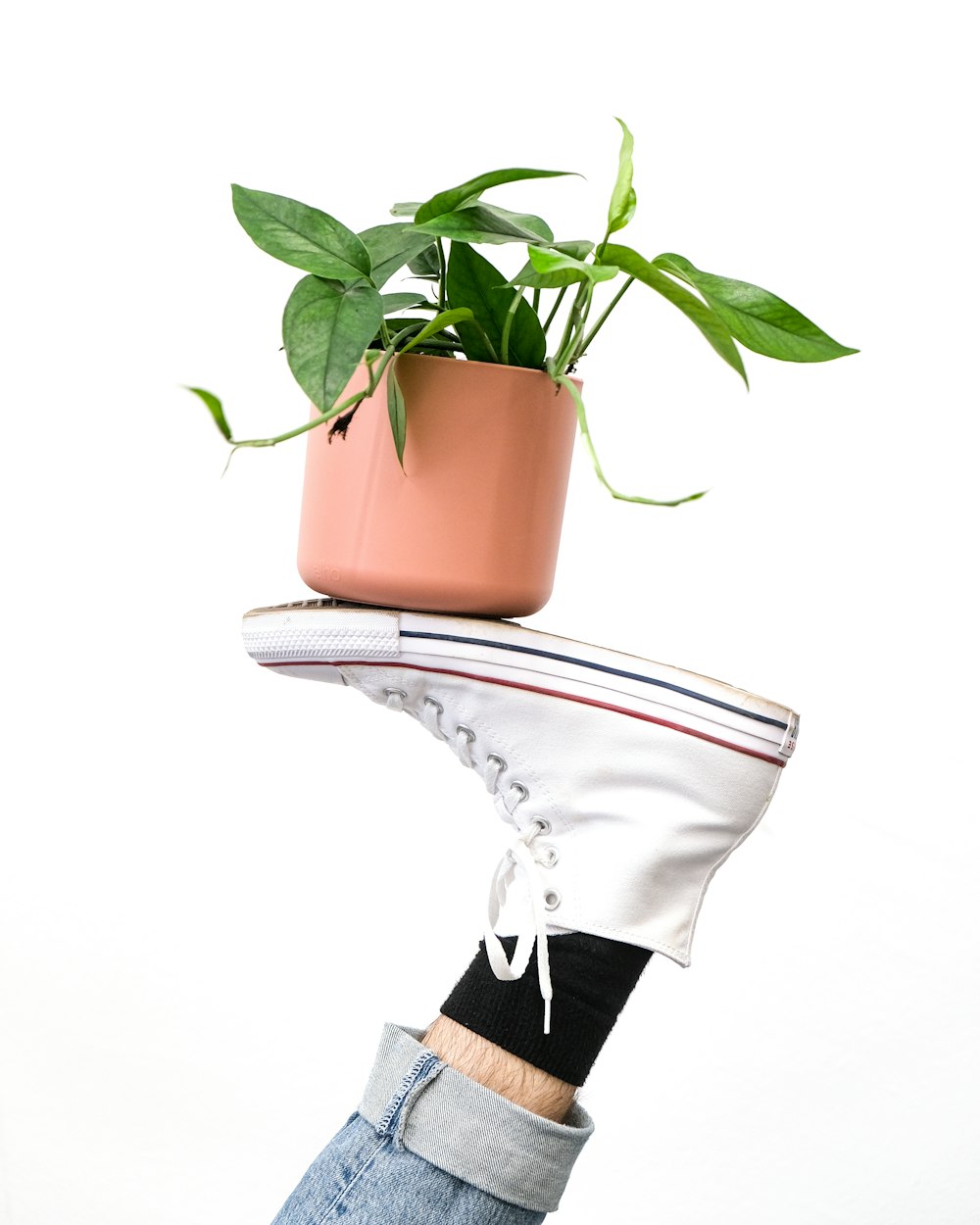a person's feet with a potted plant on their feet