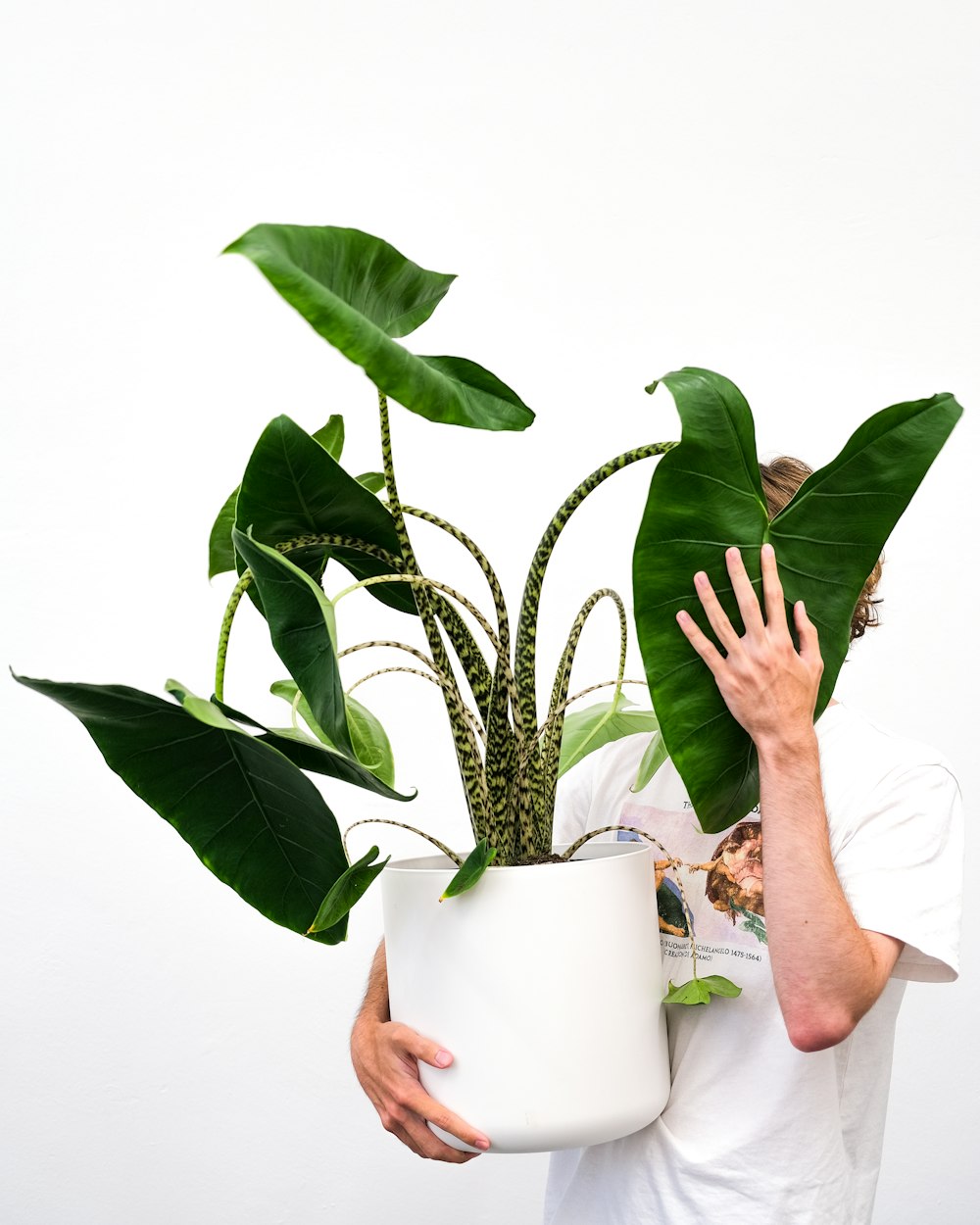 a person holding a potted plant