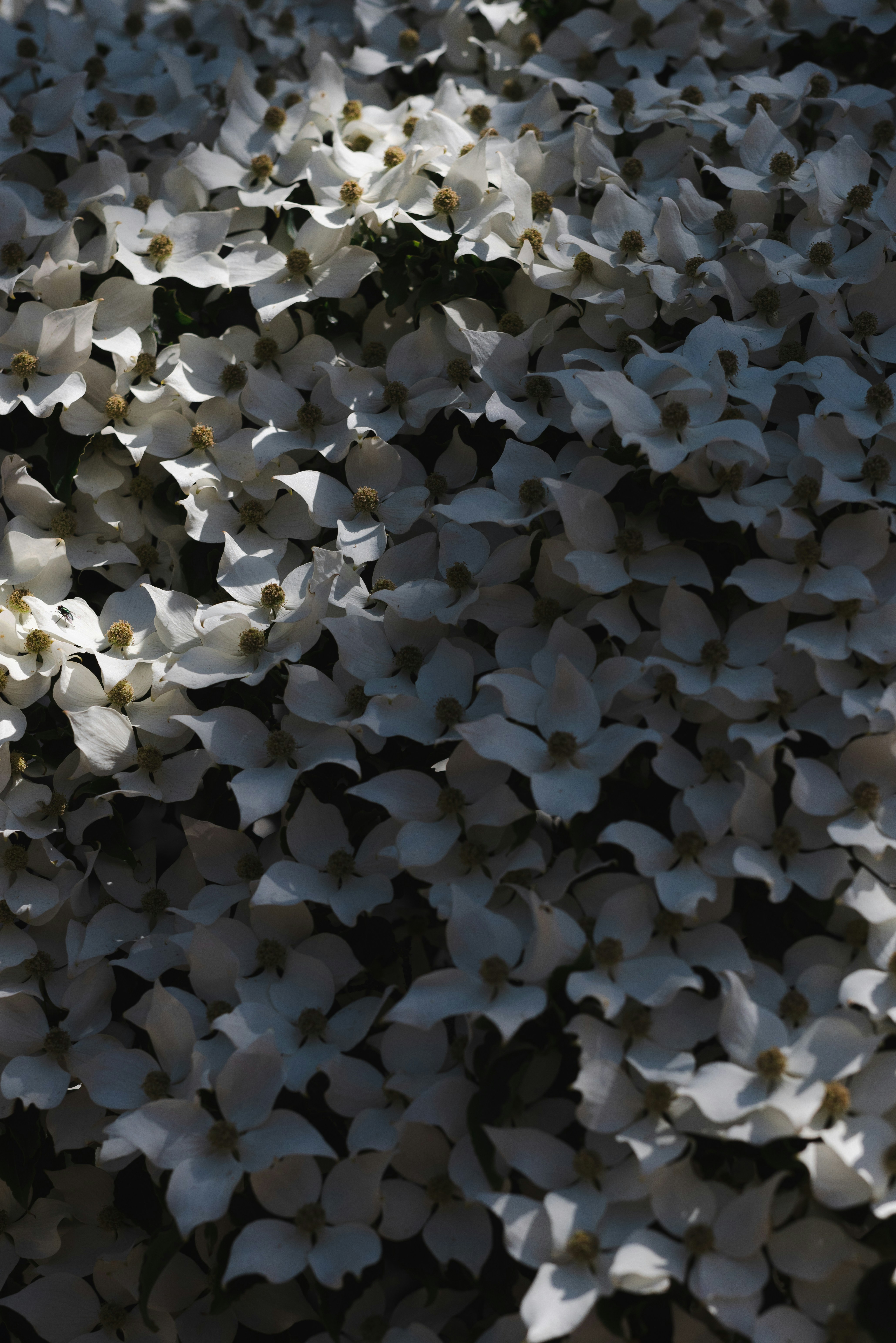 Photo by filipp_roman_photography