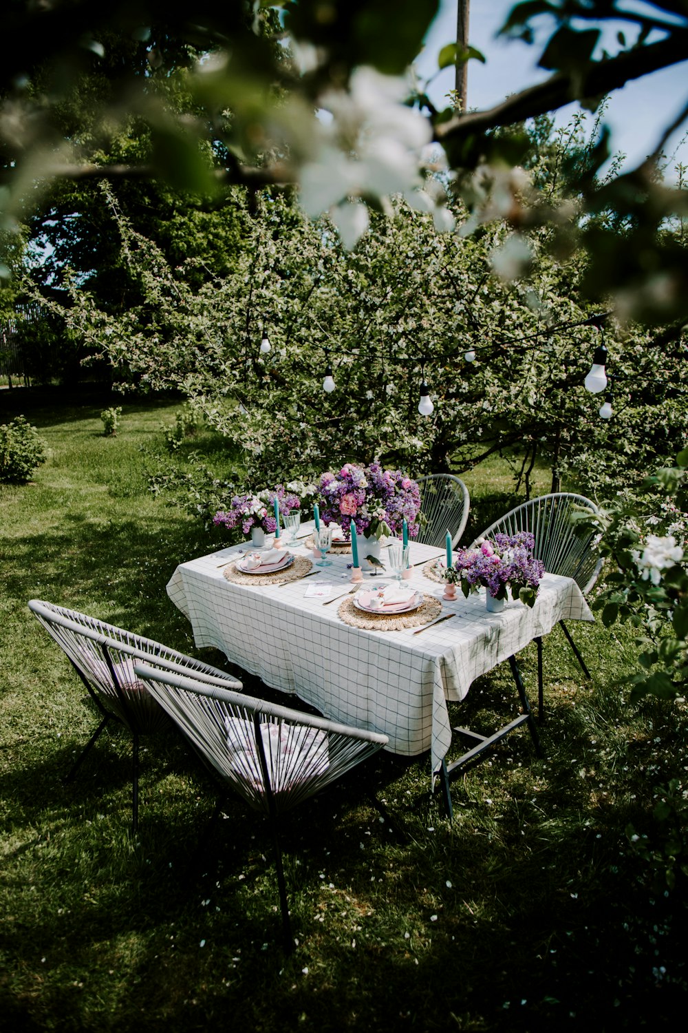 a table with plates and glasses on it in a yard with trees