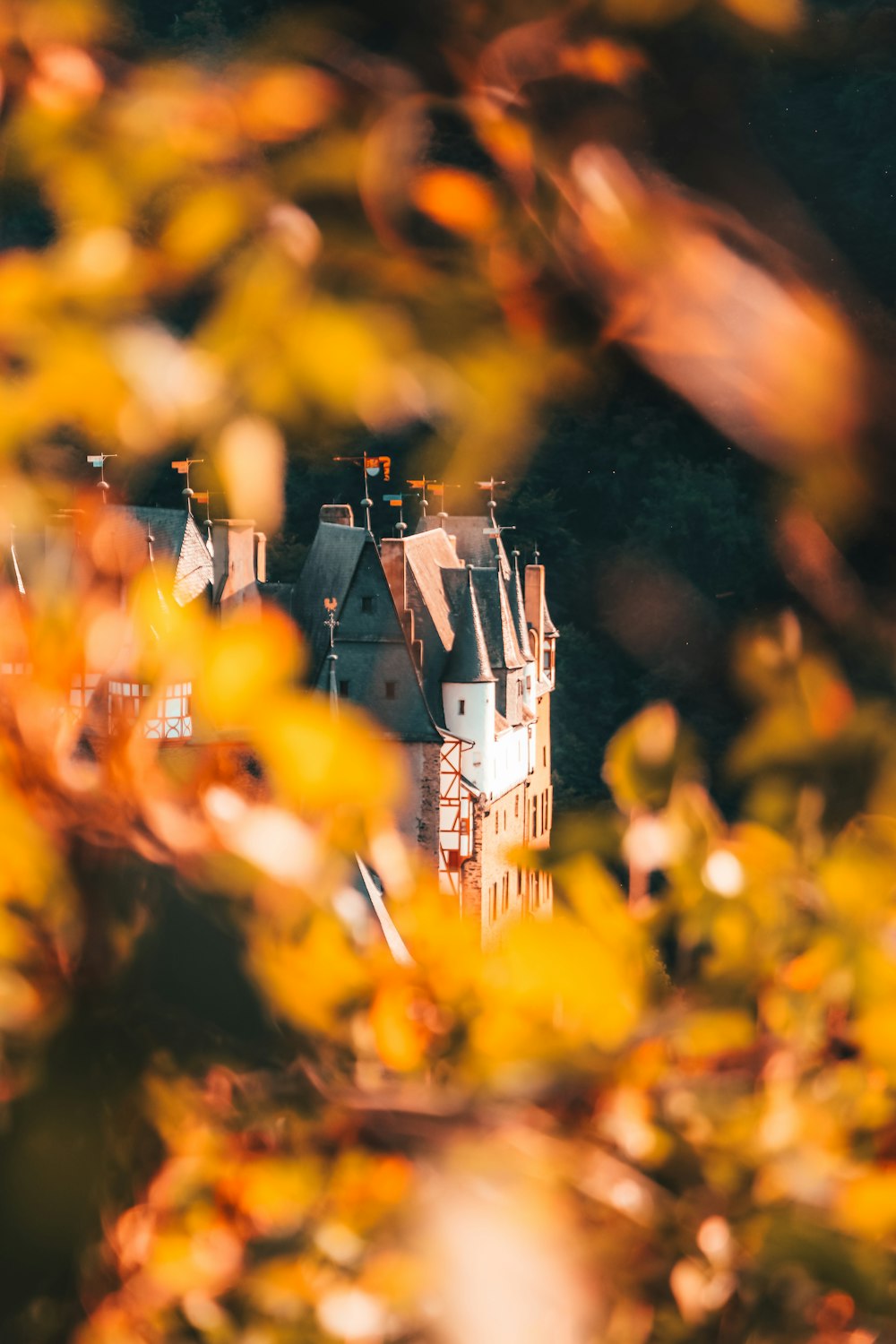 a toy house in a field of yellow flowers