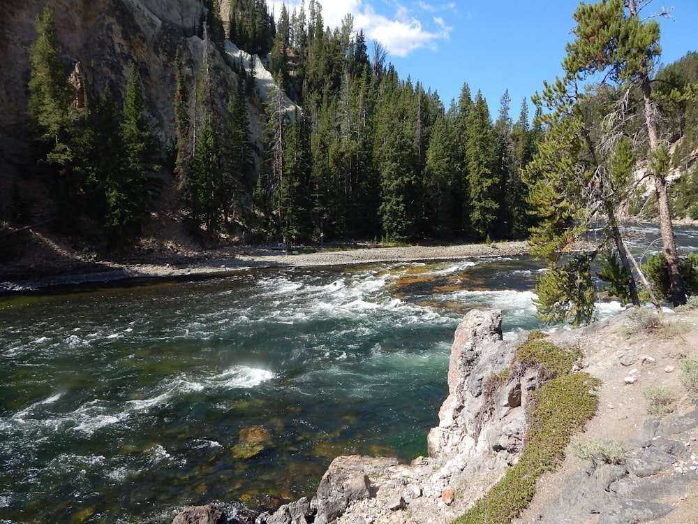 a river running through a rocky area