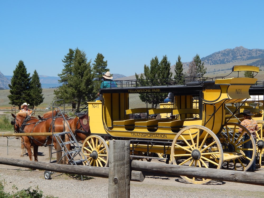 a horse drawn carriage