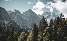 a mountain range with trees