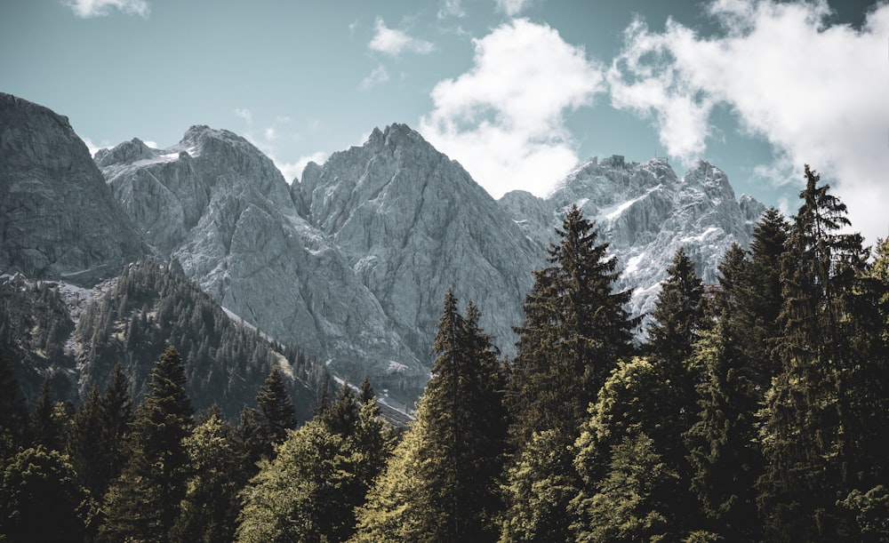 a mountain range with trees