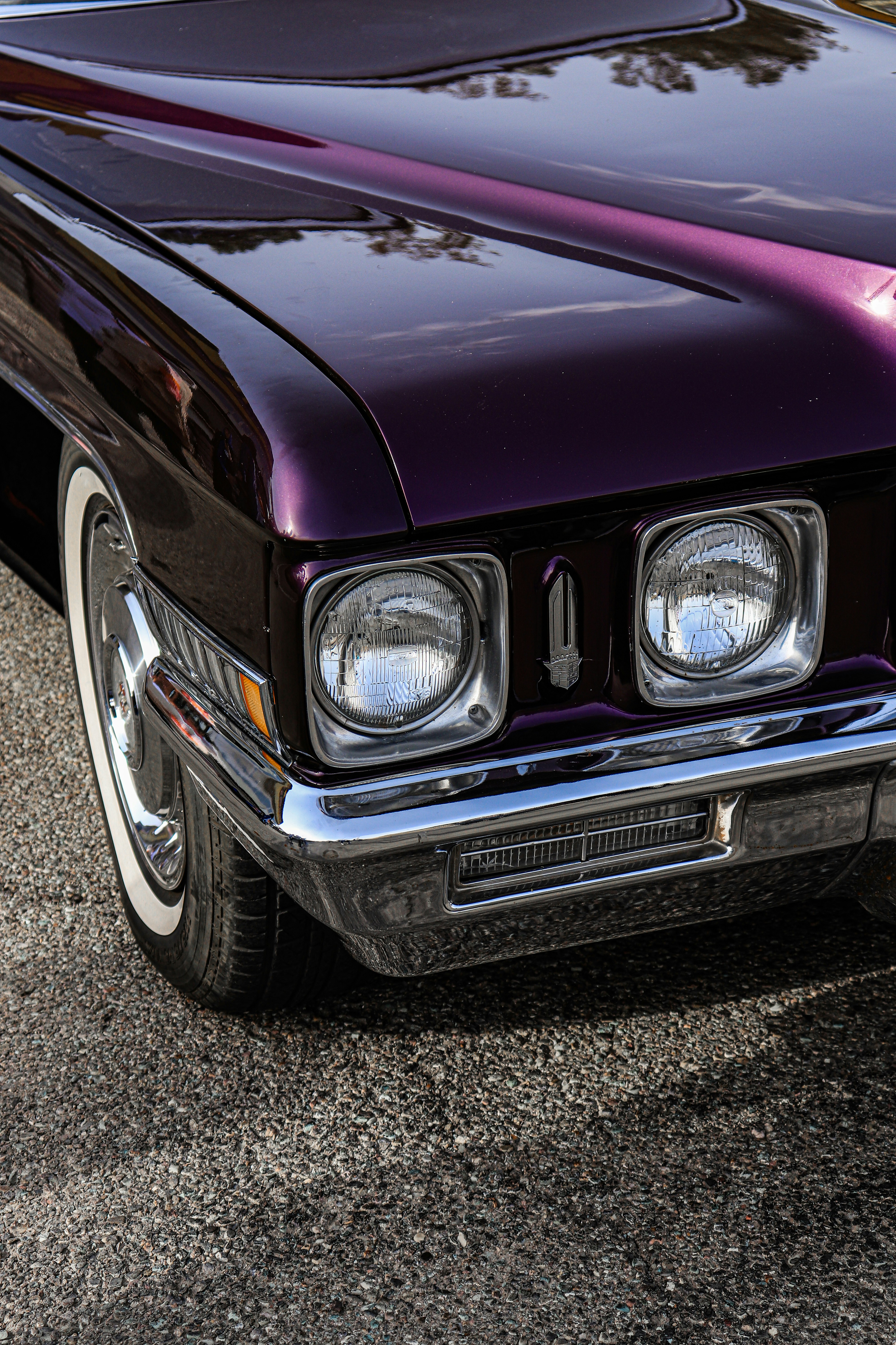 Photo by ashkansa_photo