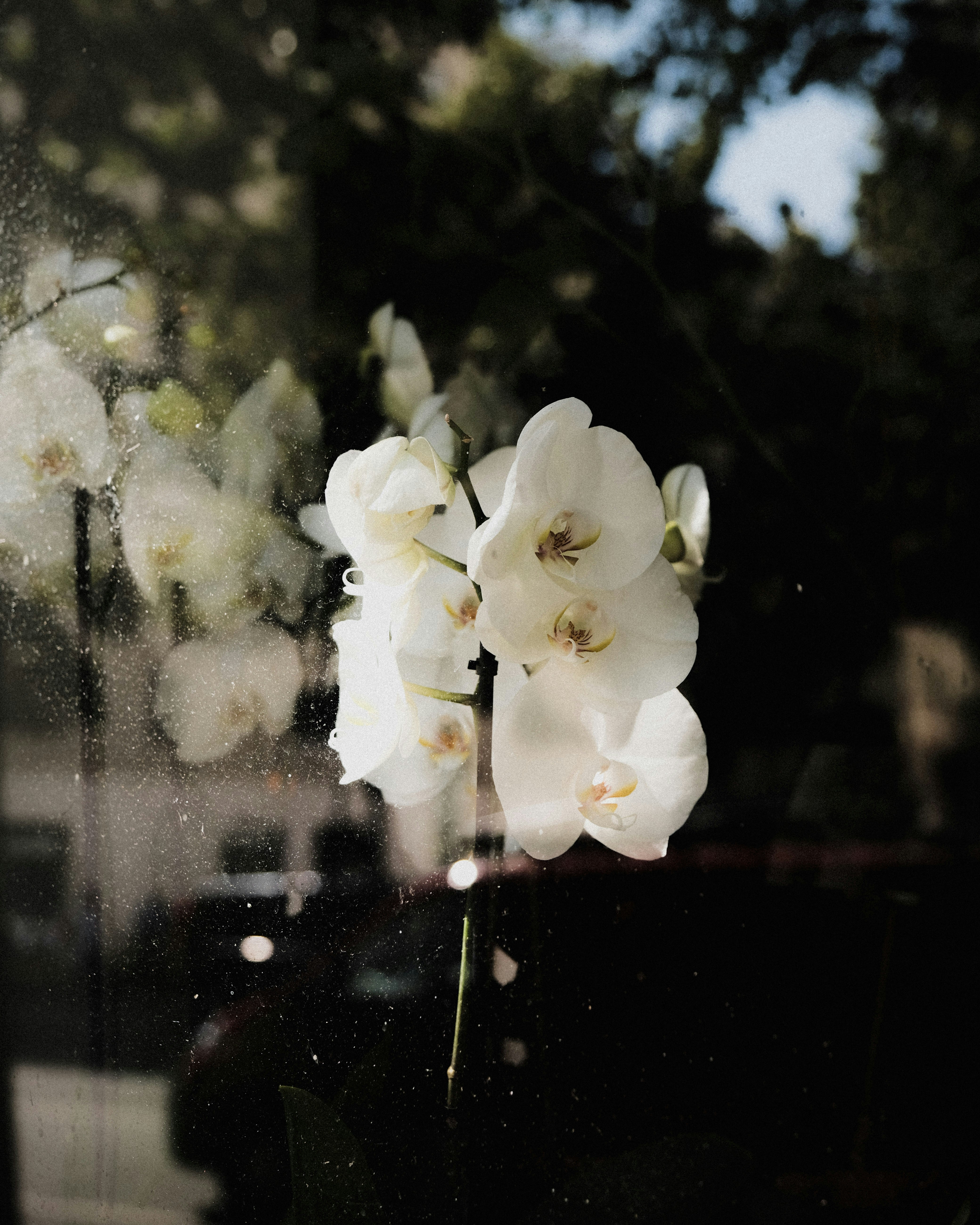 Photo by matreding