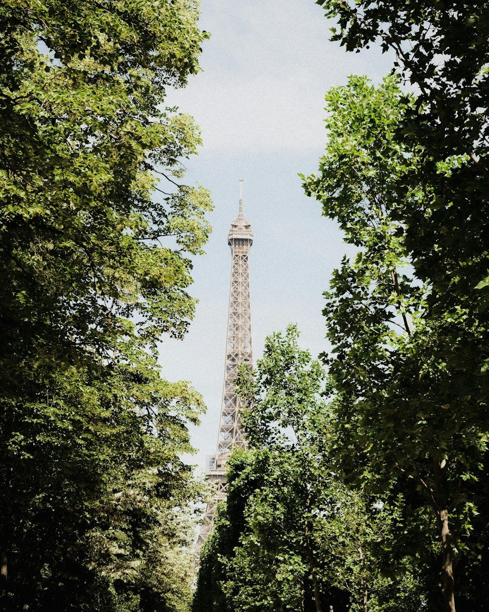 a tall tower behind trees