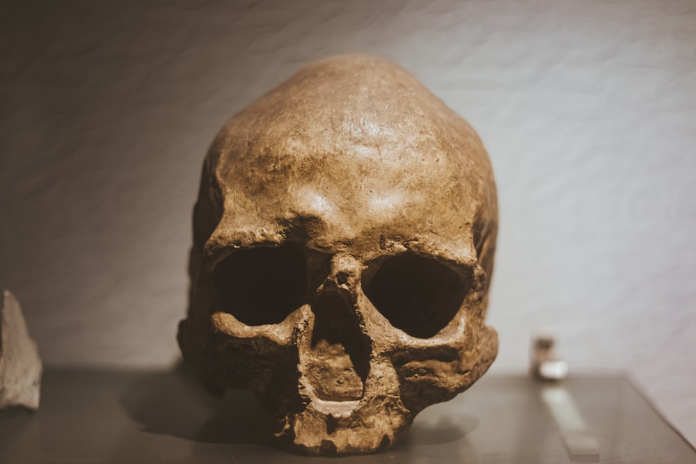 a skull on a table