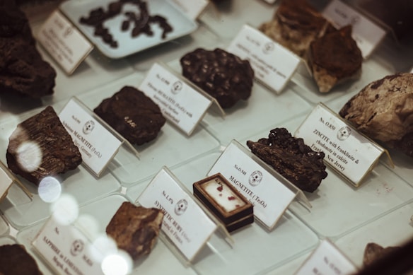 Various rocks and minerals are displayed in a museum showcase, each labeled with detailed information. The arrangement is neat, with small white cards providing the names and additional details of the specimens. The lighting is soft, giving the display an elegant and organized appearance.