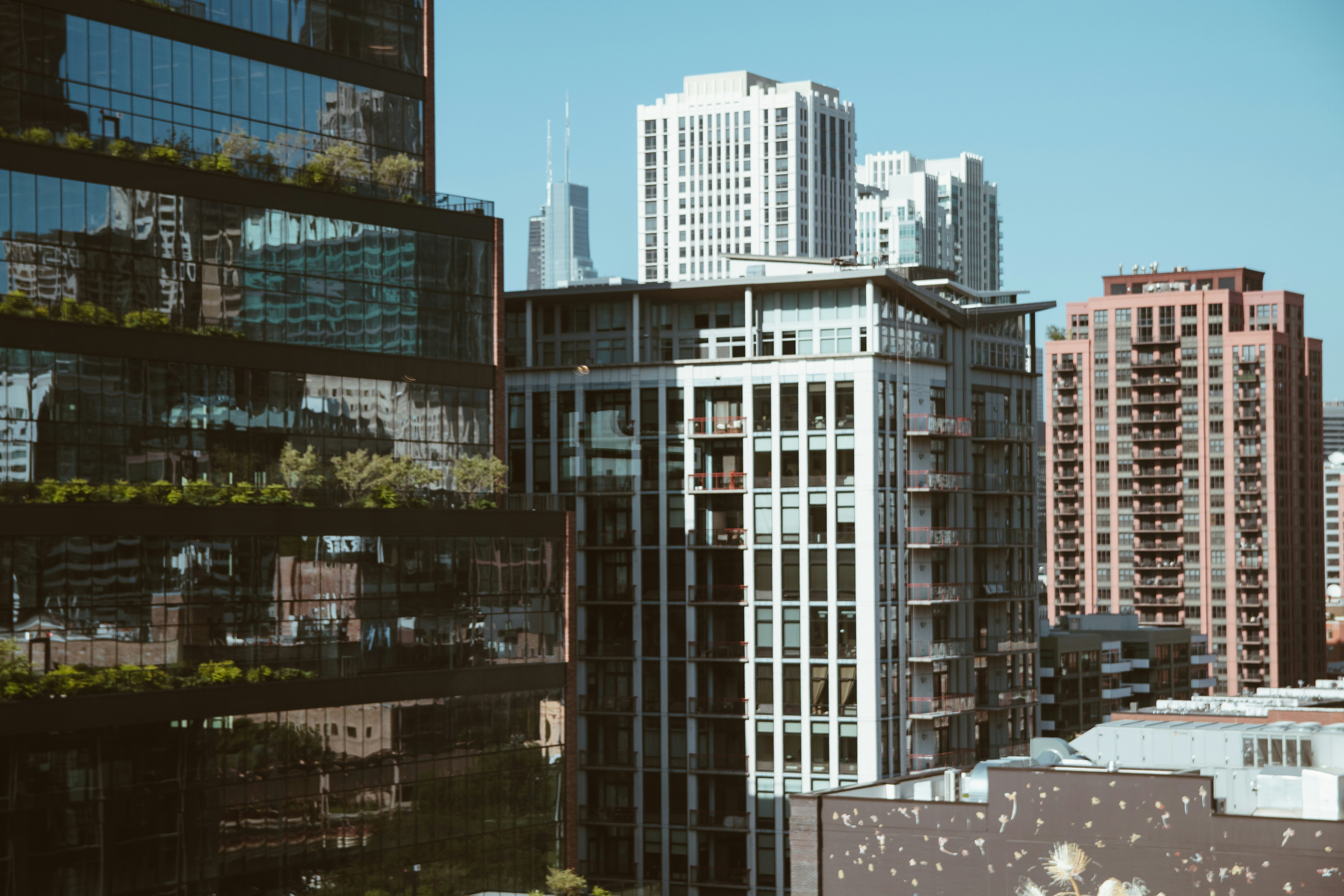 Photo by taylor_friehl