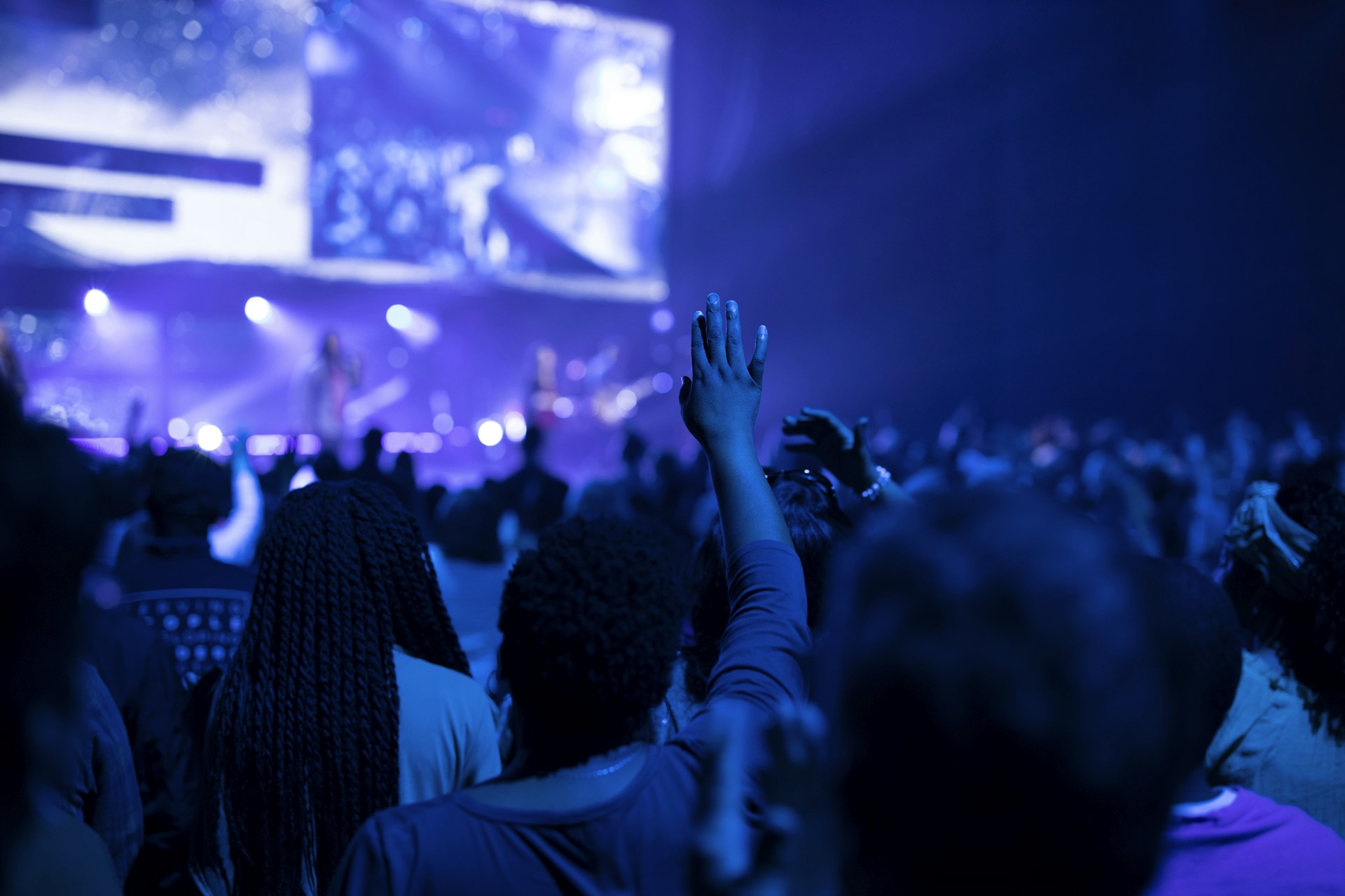 a crowd of people at a concert