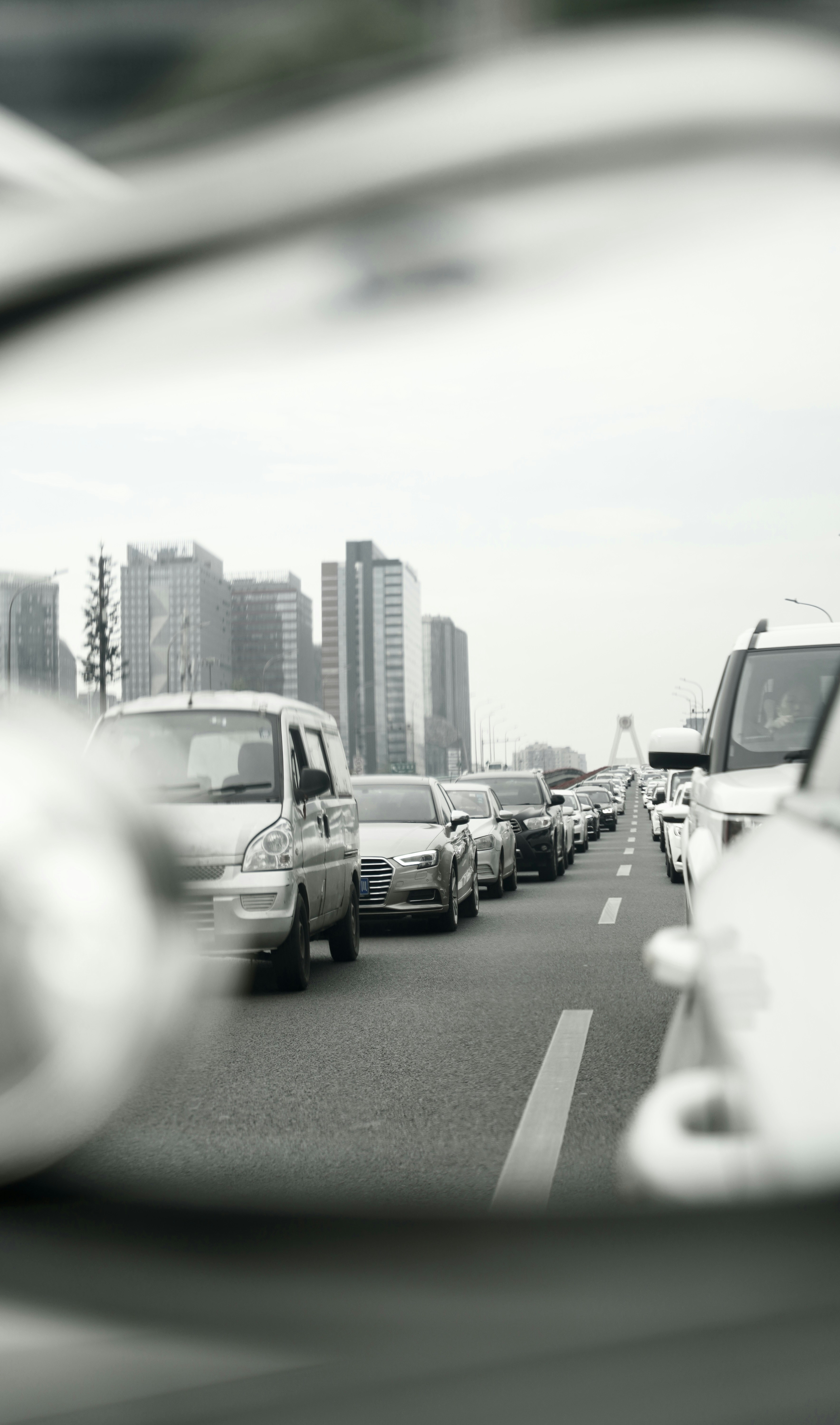 Photo by dlfornothing