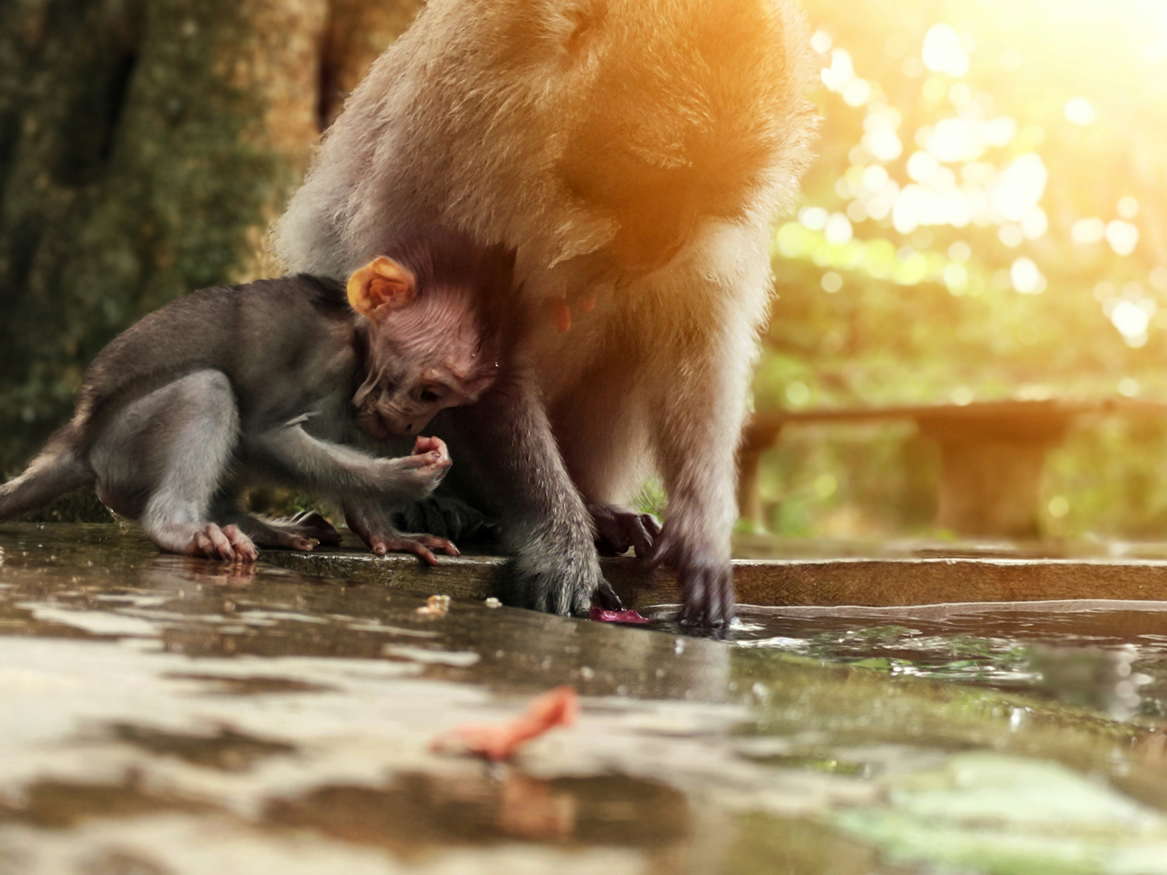 Photo by nabeelhussainphotos