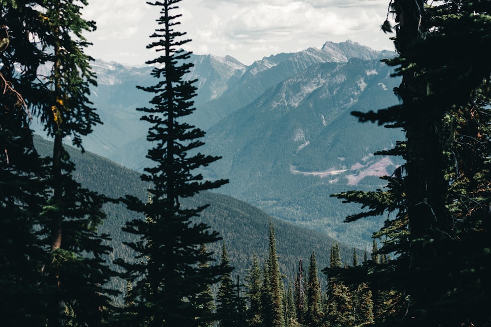 a snowy mountain range