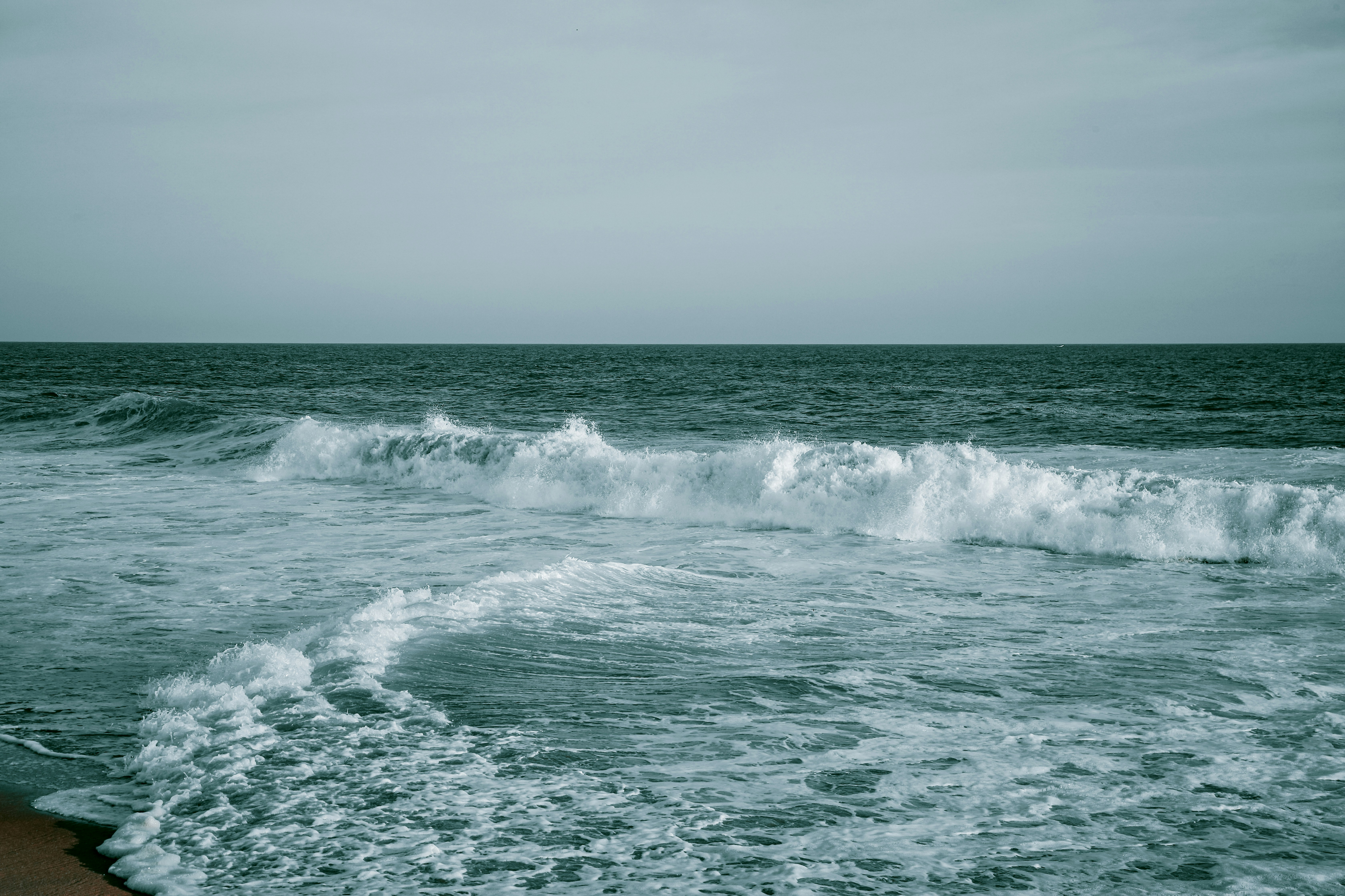 Photo by eshakangell