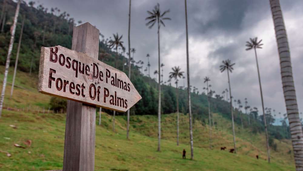 a sign on a wooden post