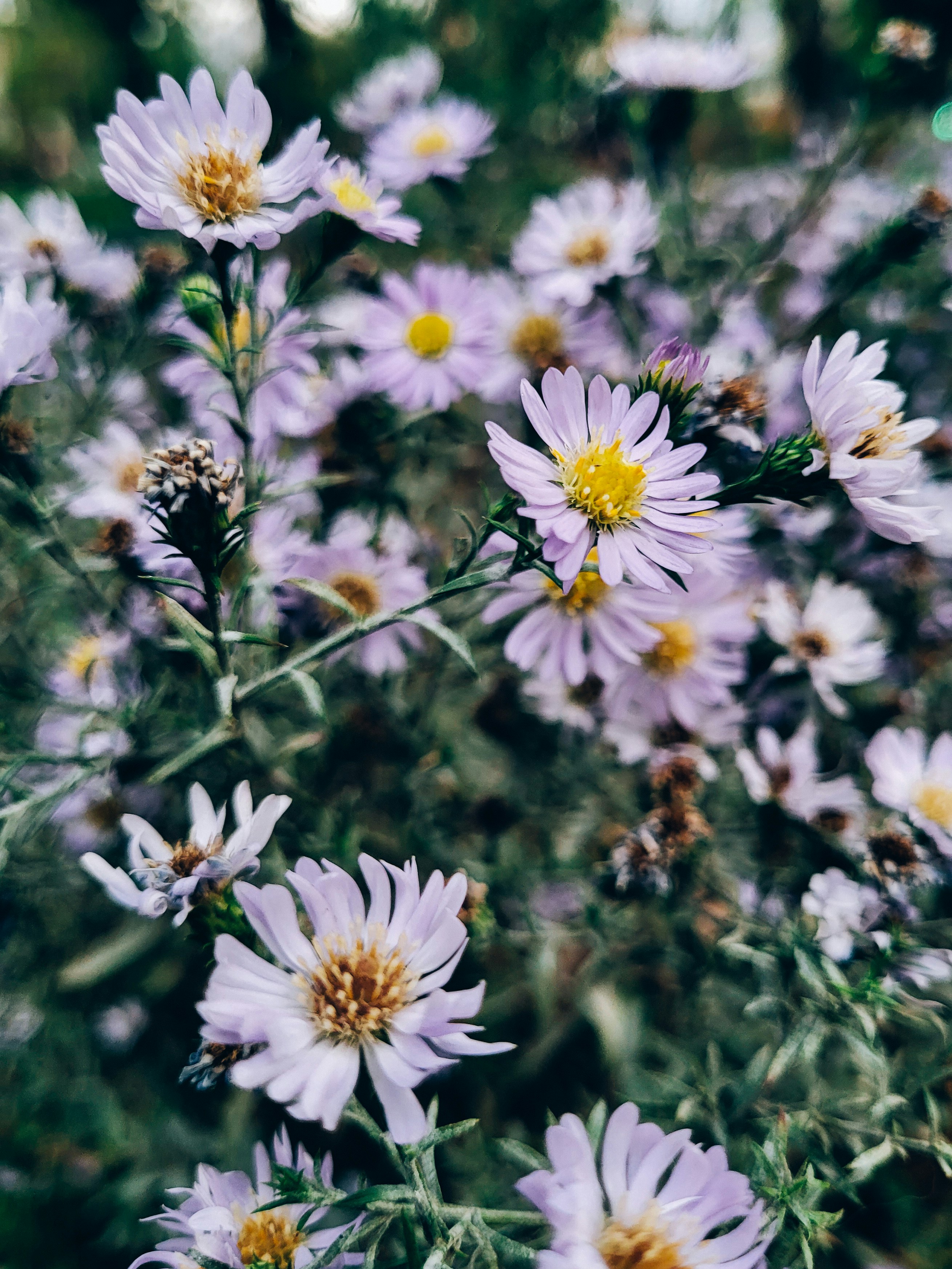 Photo by claitonconto