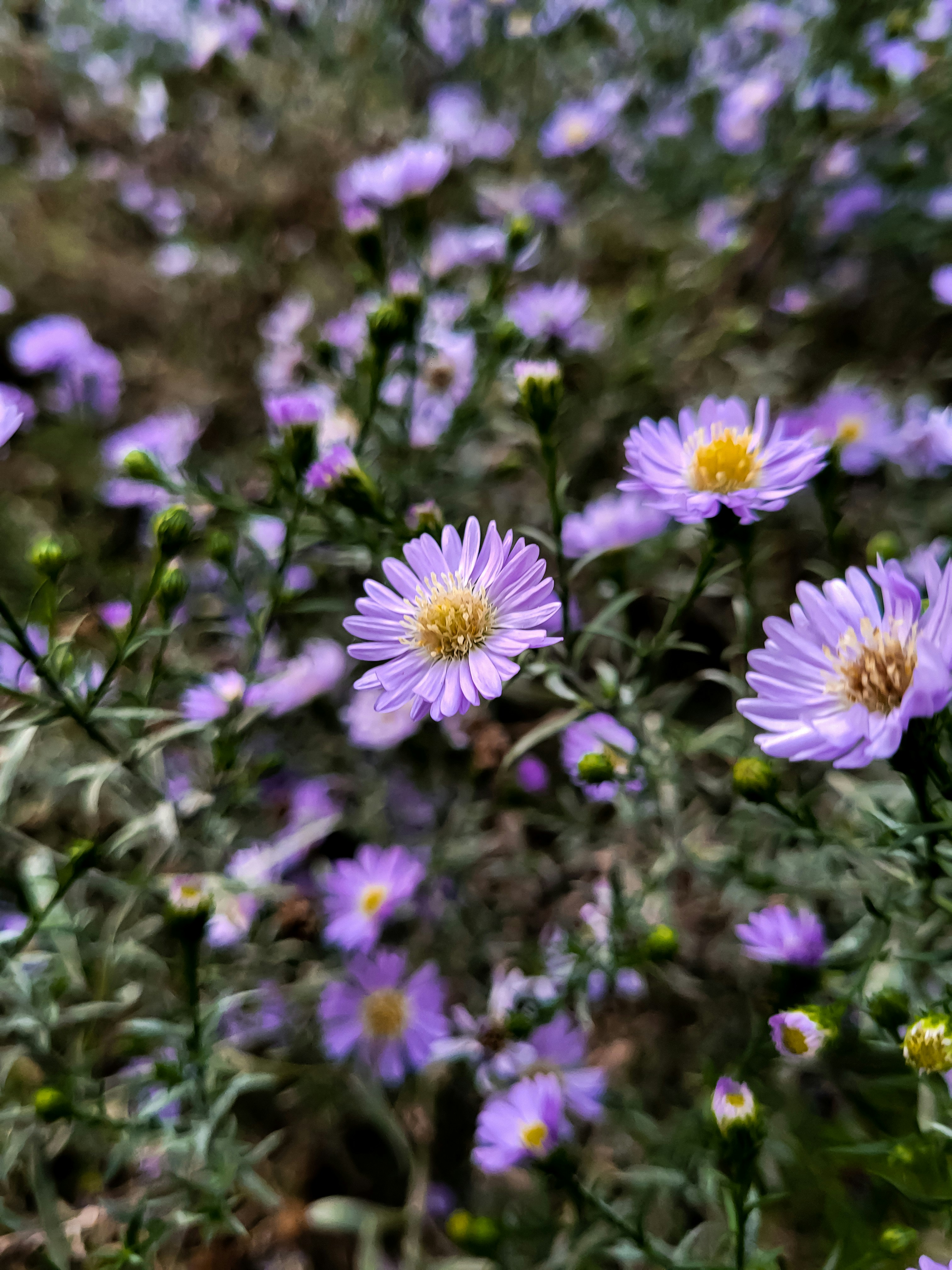 Photo by claitonconto