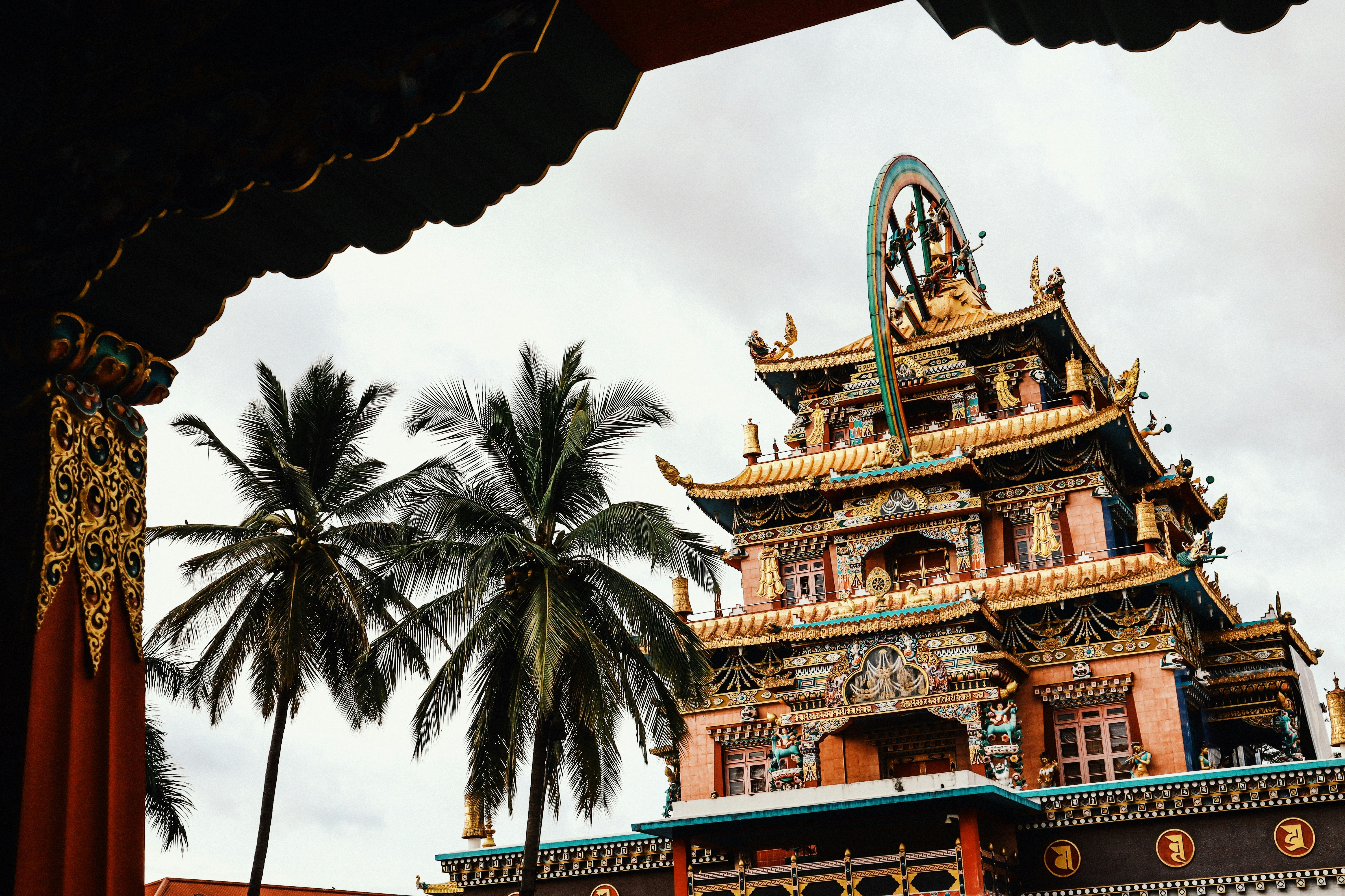 Photo by vpphotographers