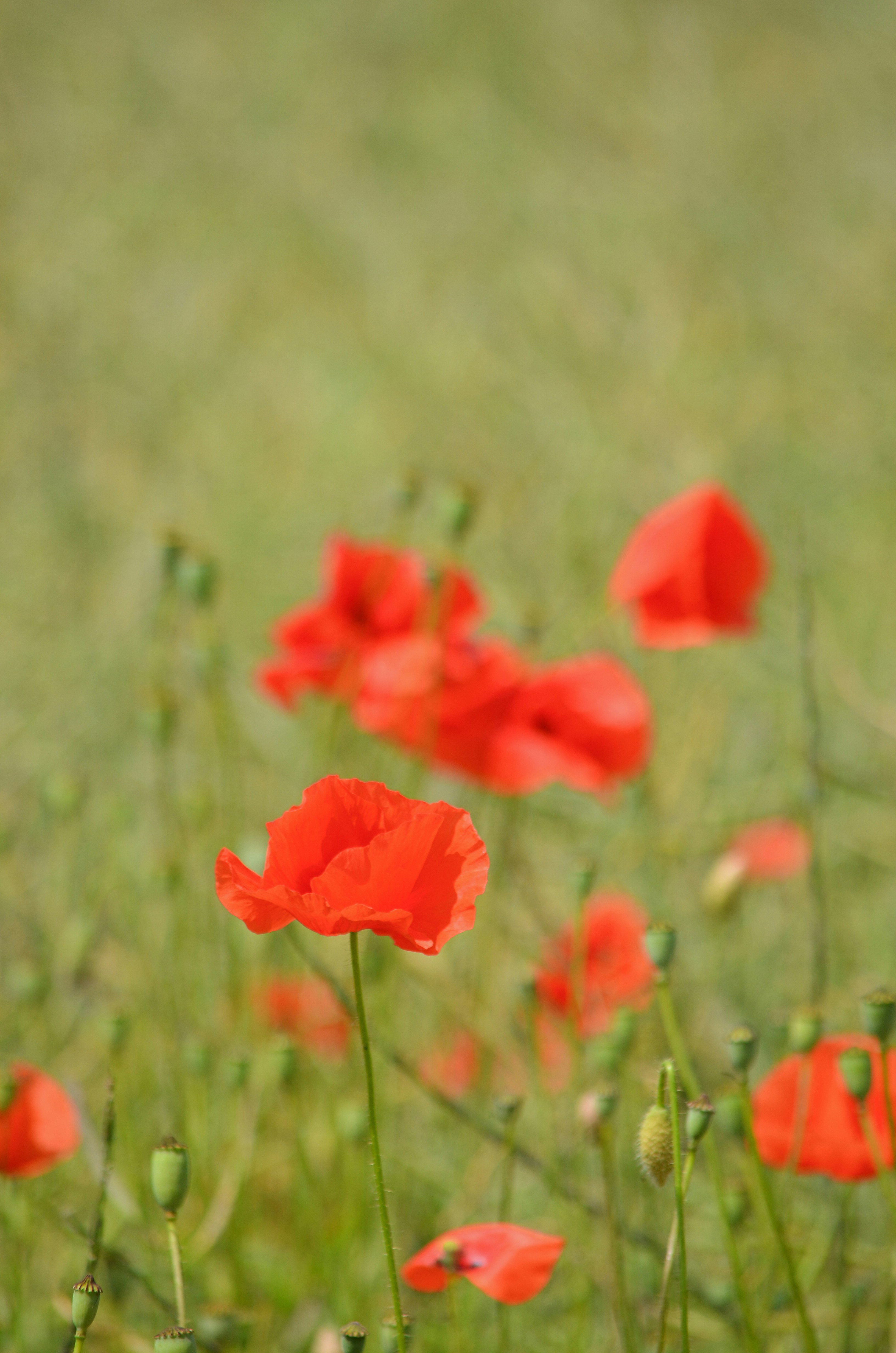 Photo by jetztabertempo