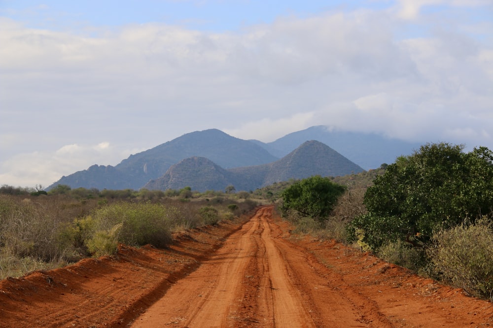 a dirt road with trees and mountains in the background