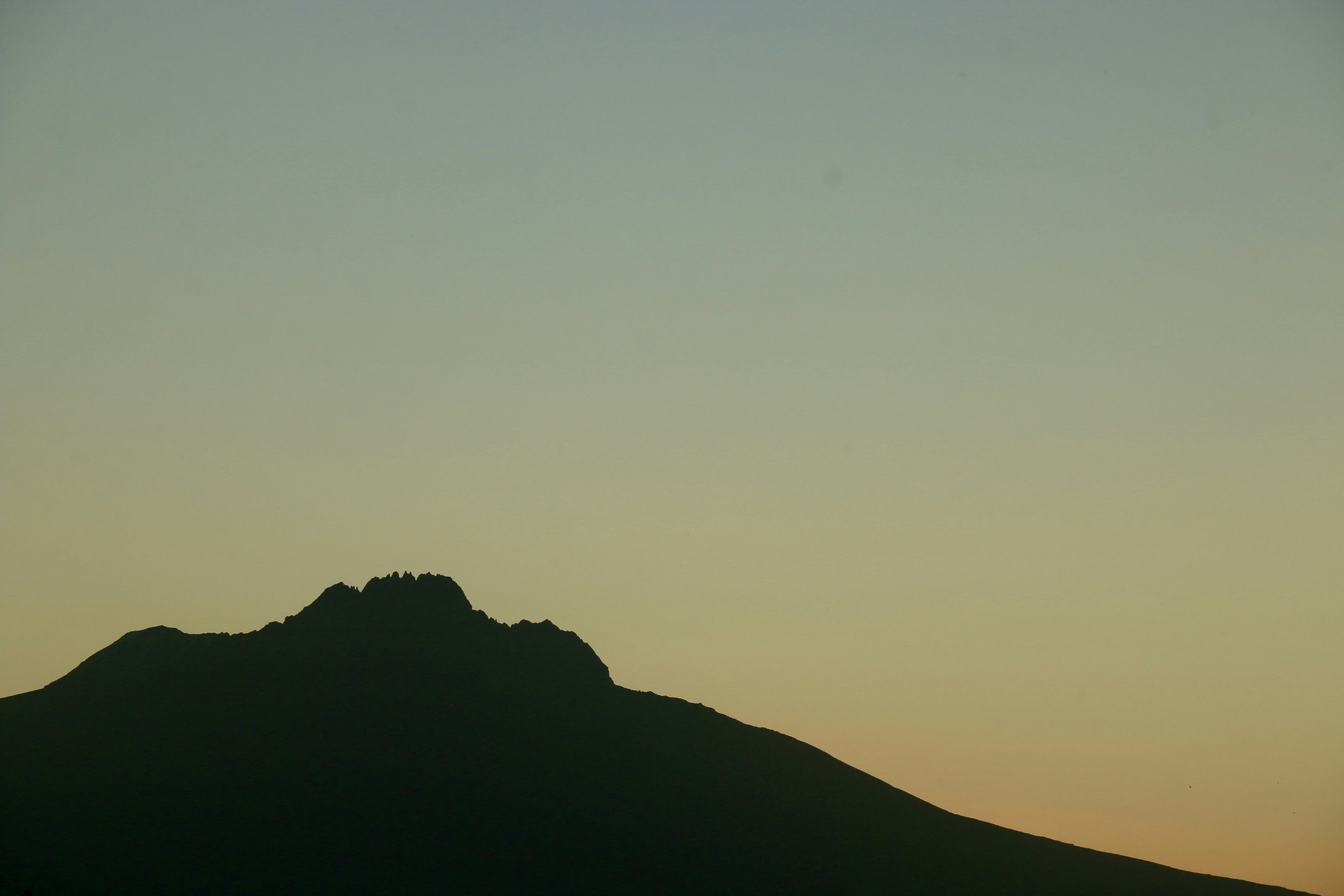 Photo by polinakoroleva