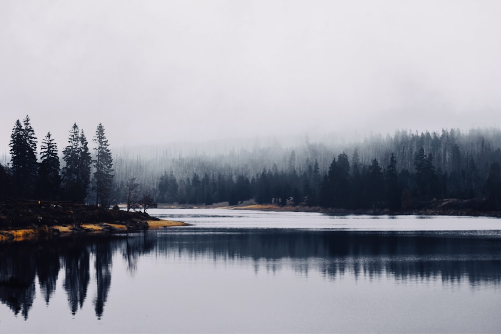 a lake with trees and snow