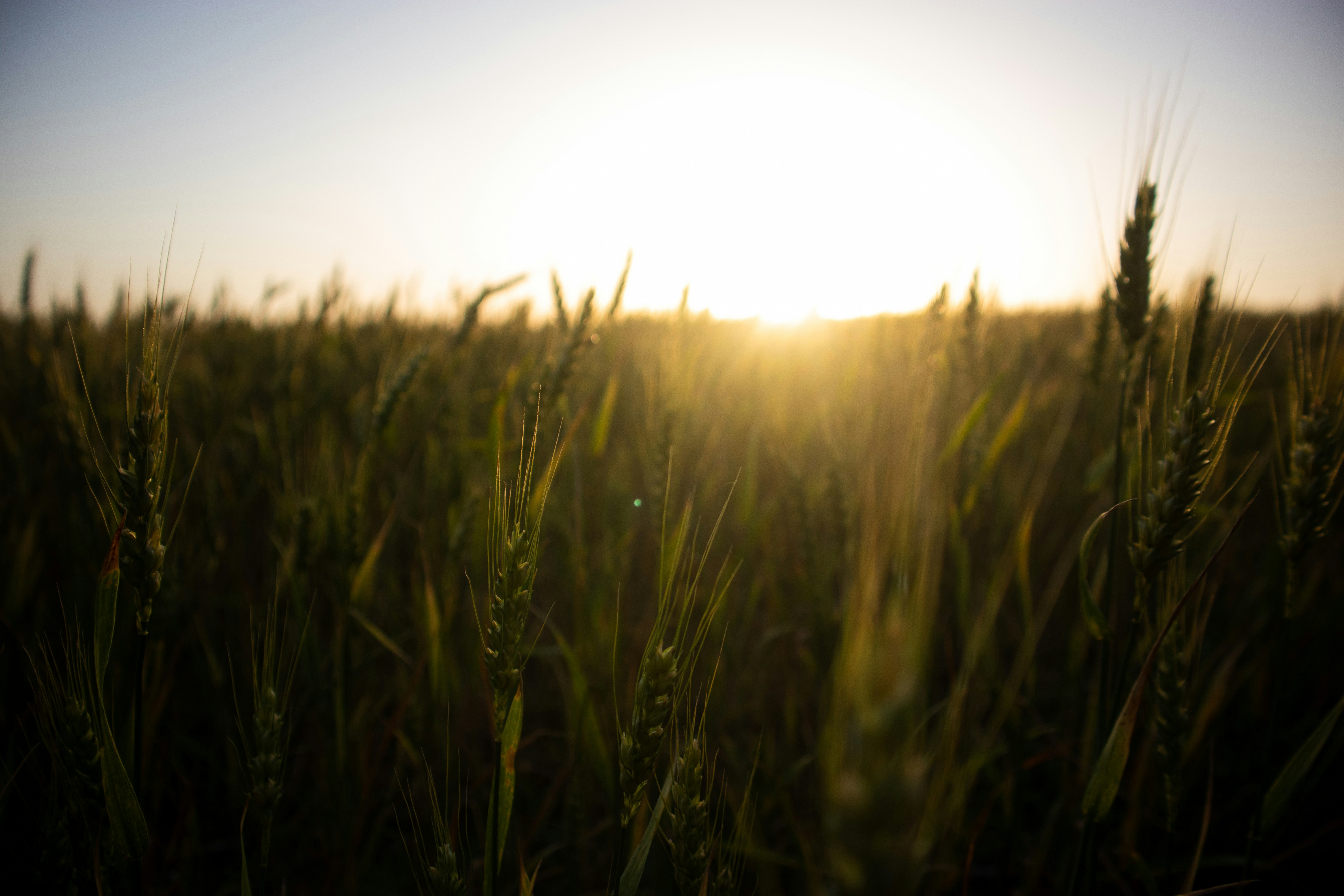 Photo by theenthusedlife